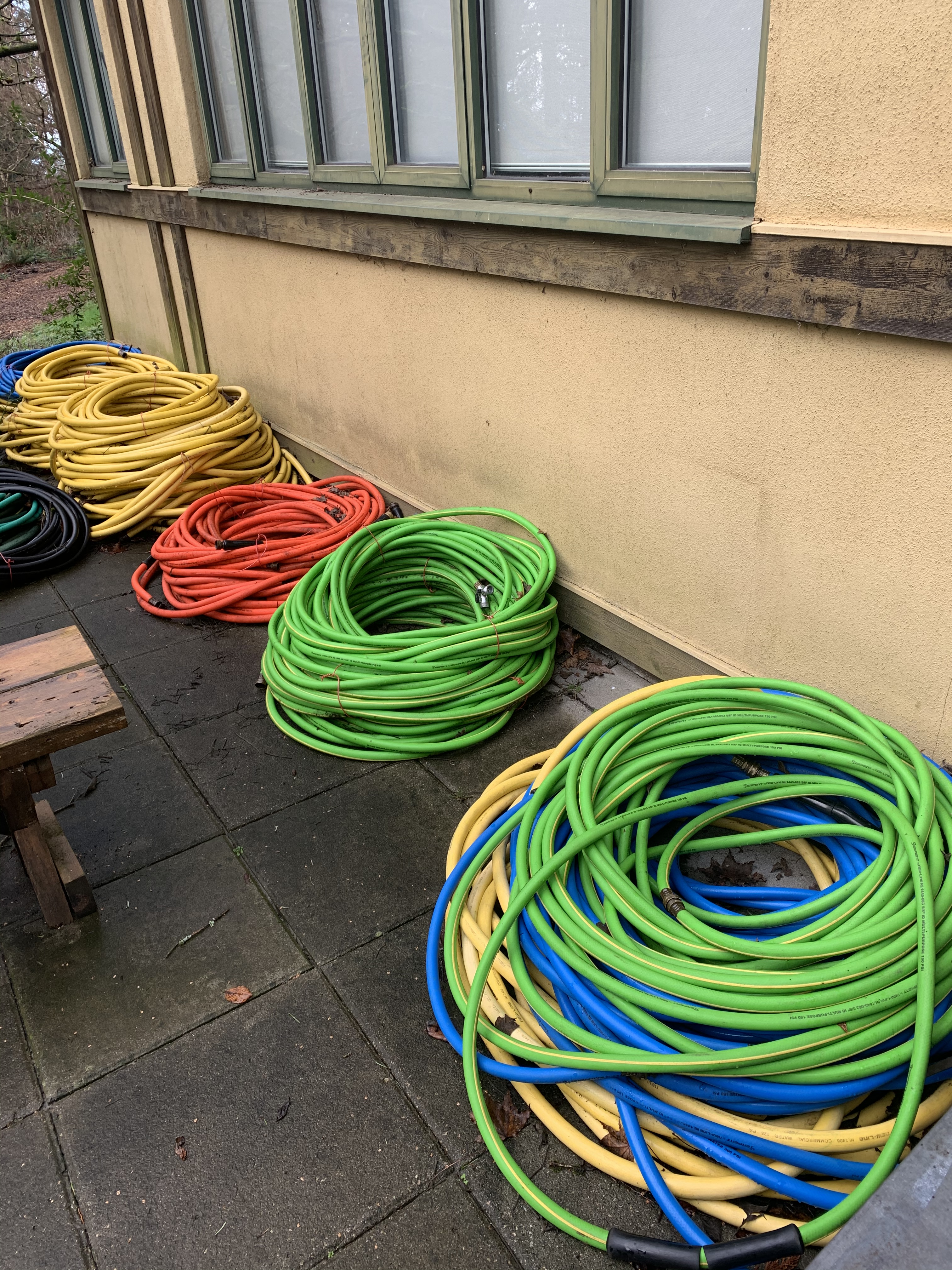 11_Biliana_Velkoka_hoses