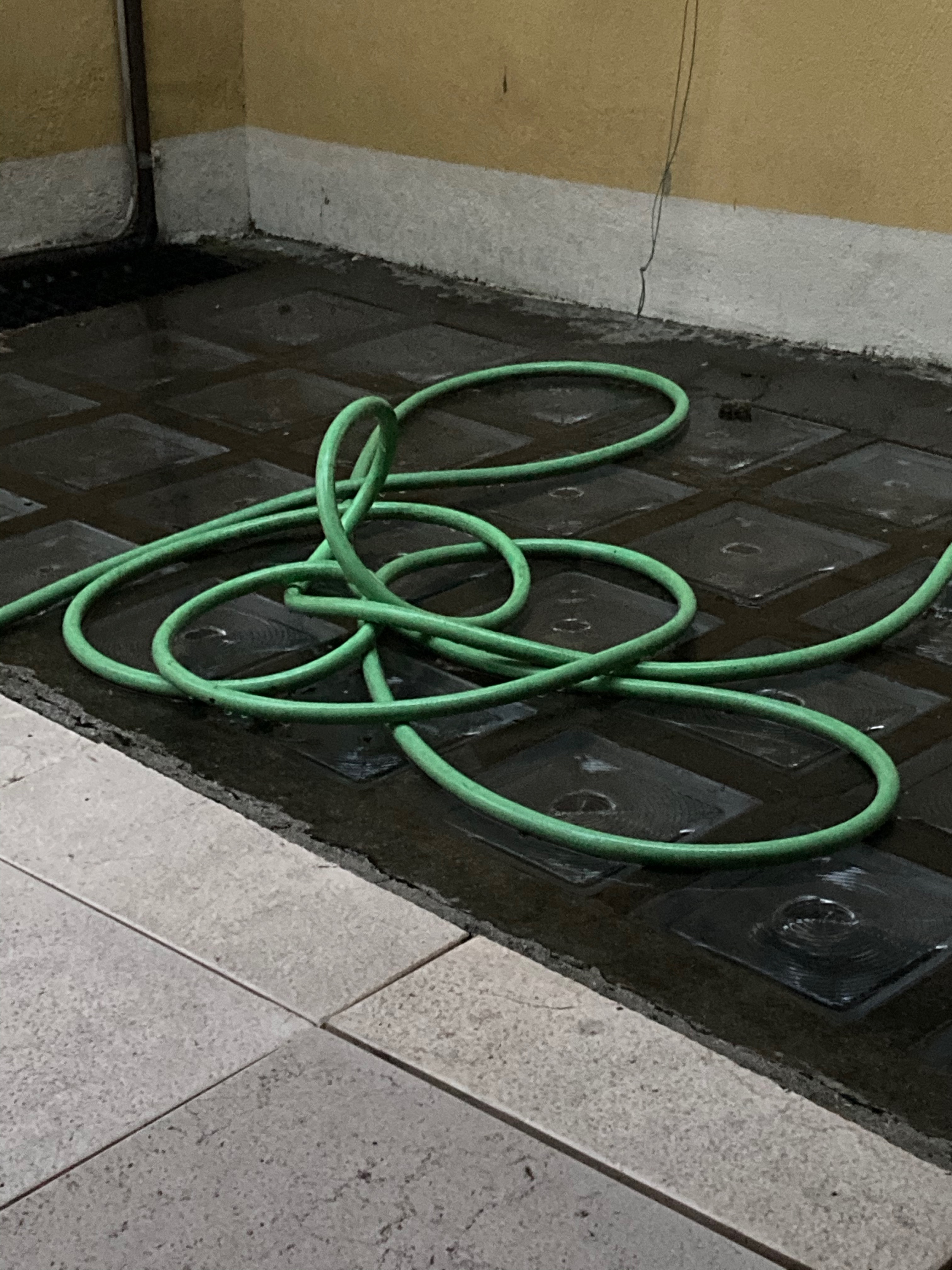 12_alice_sottani_hose