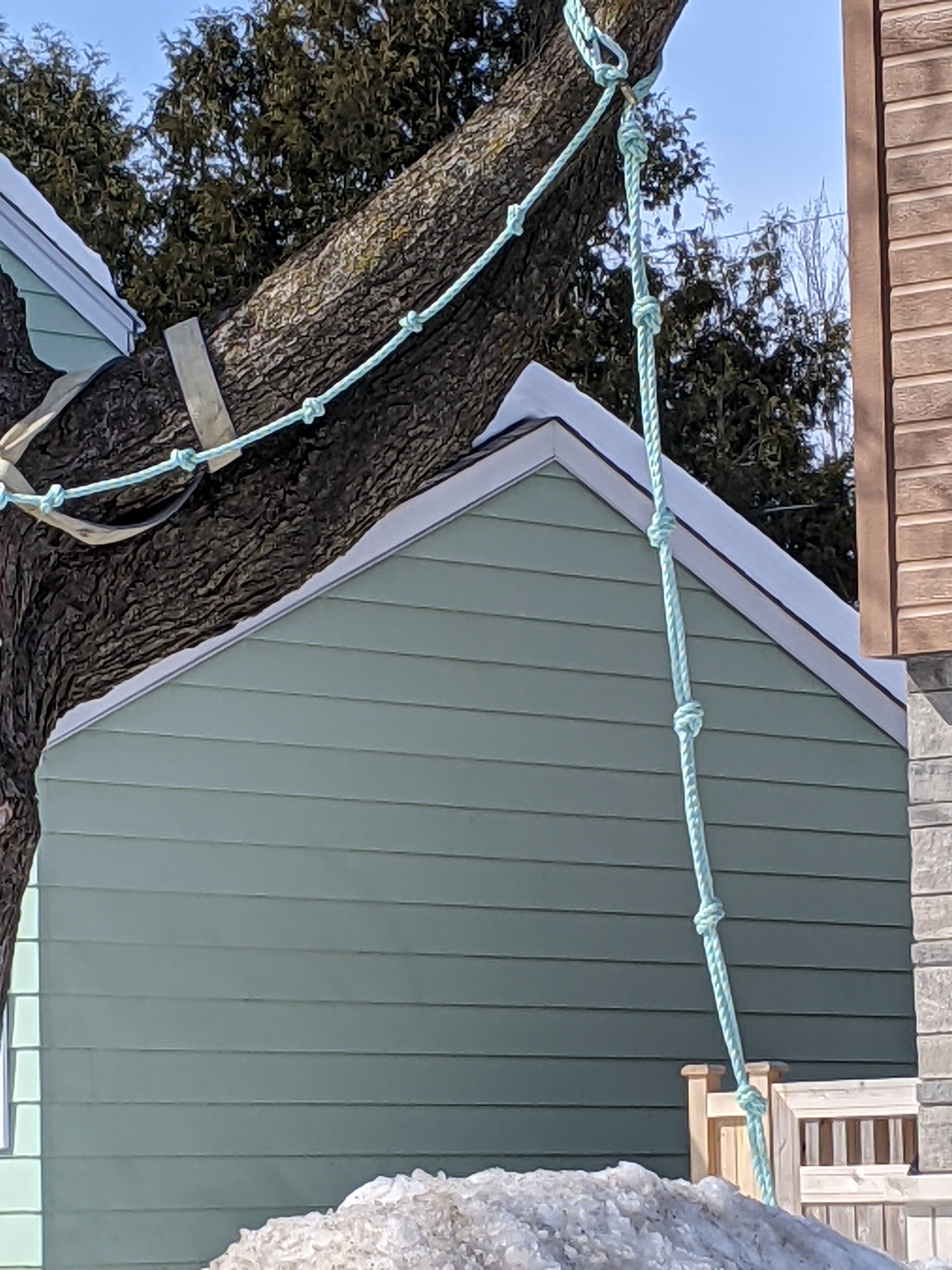 13_Catherine_carmichael_string