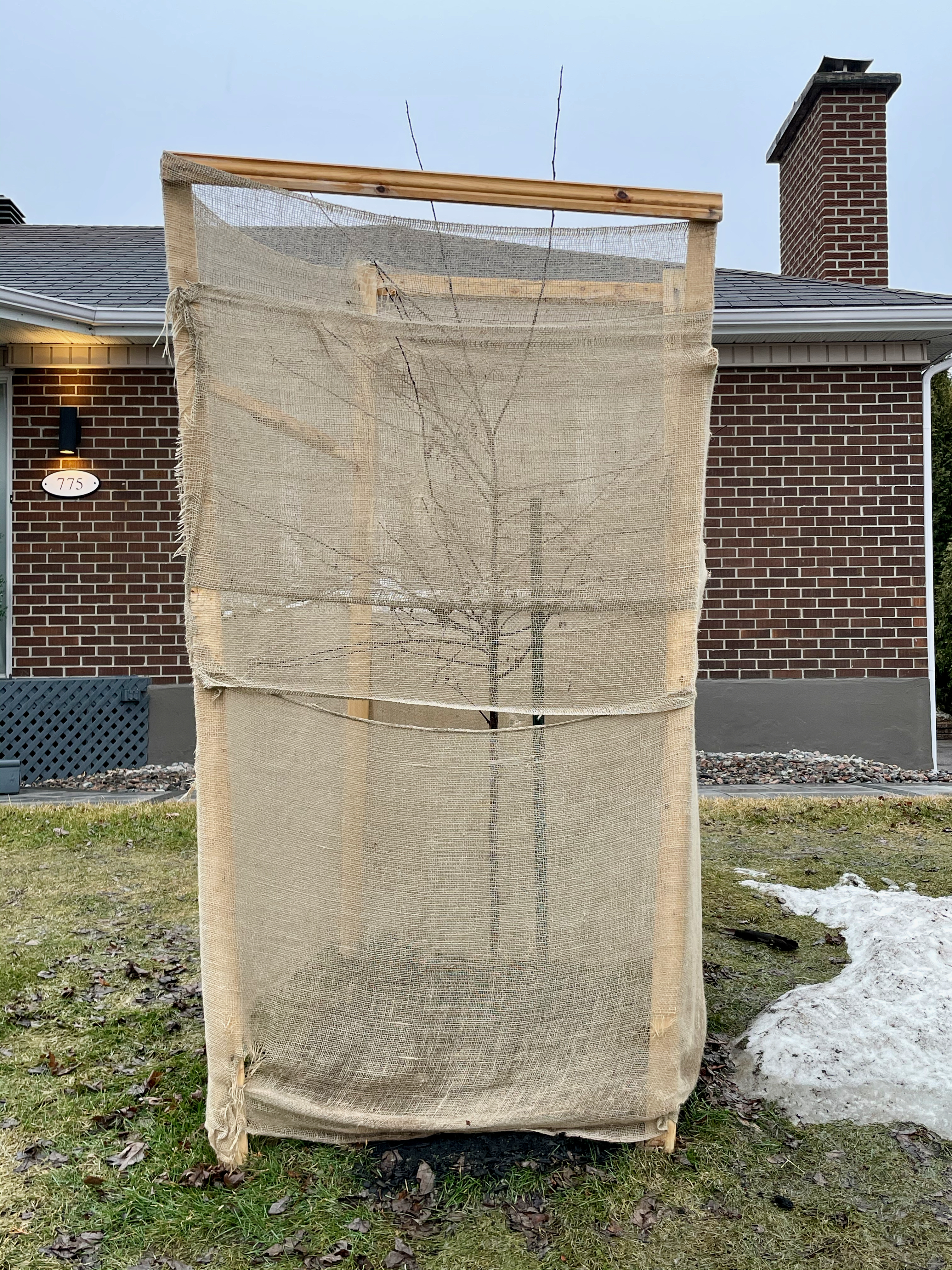 31_TreeWrap_jpartaik