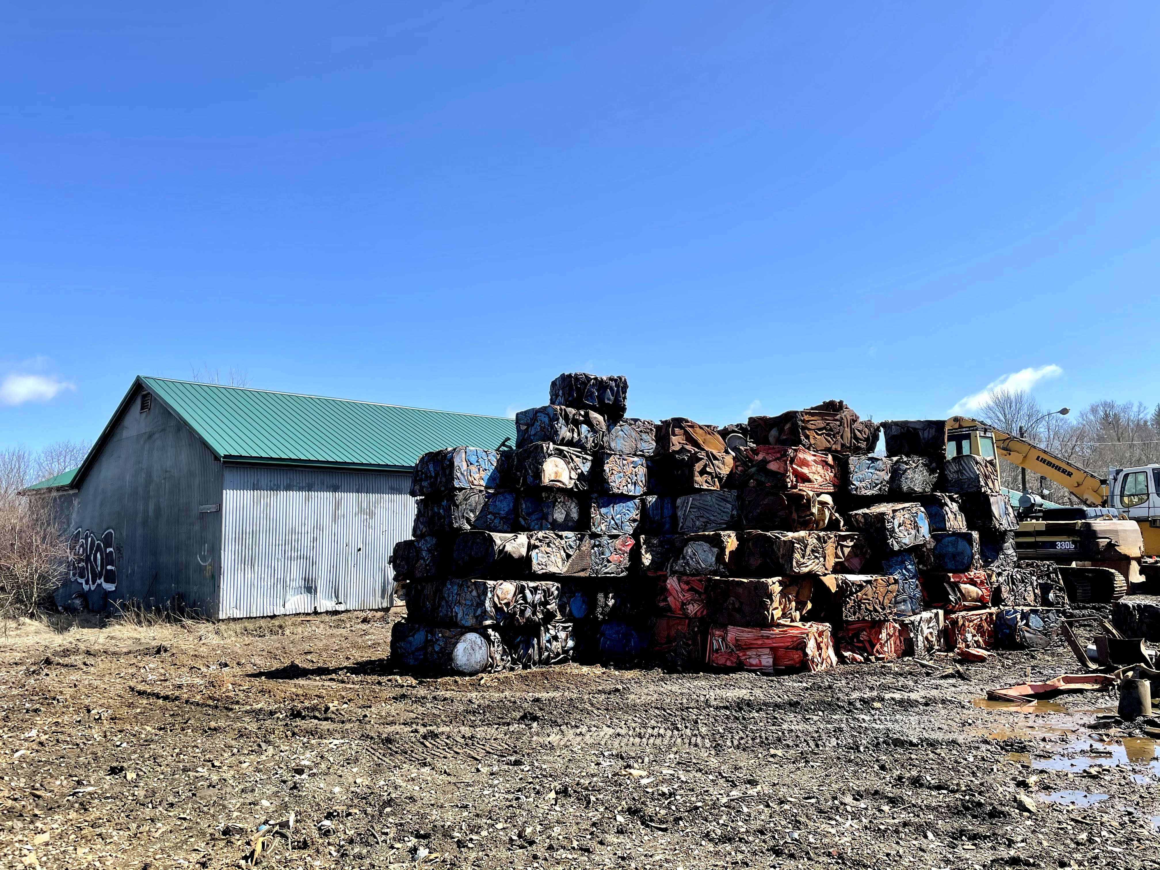 01_Brandt E IMG_1132