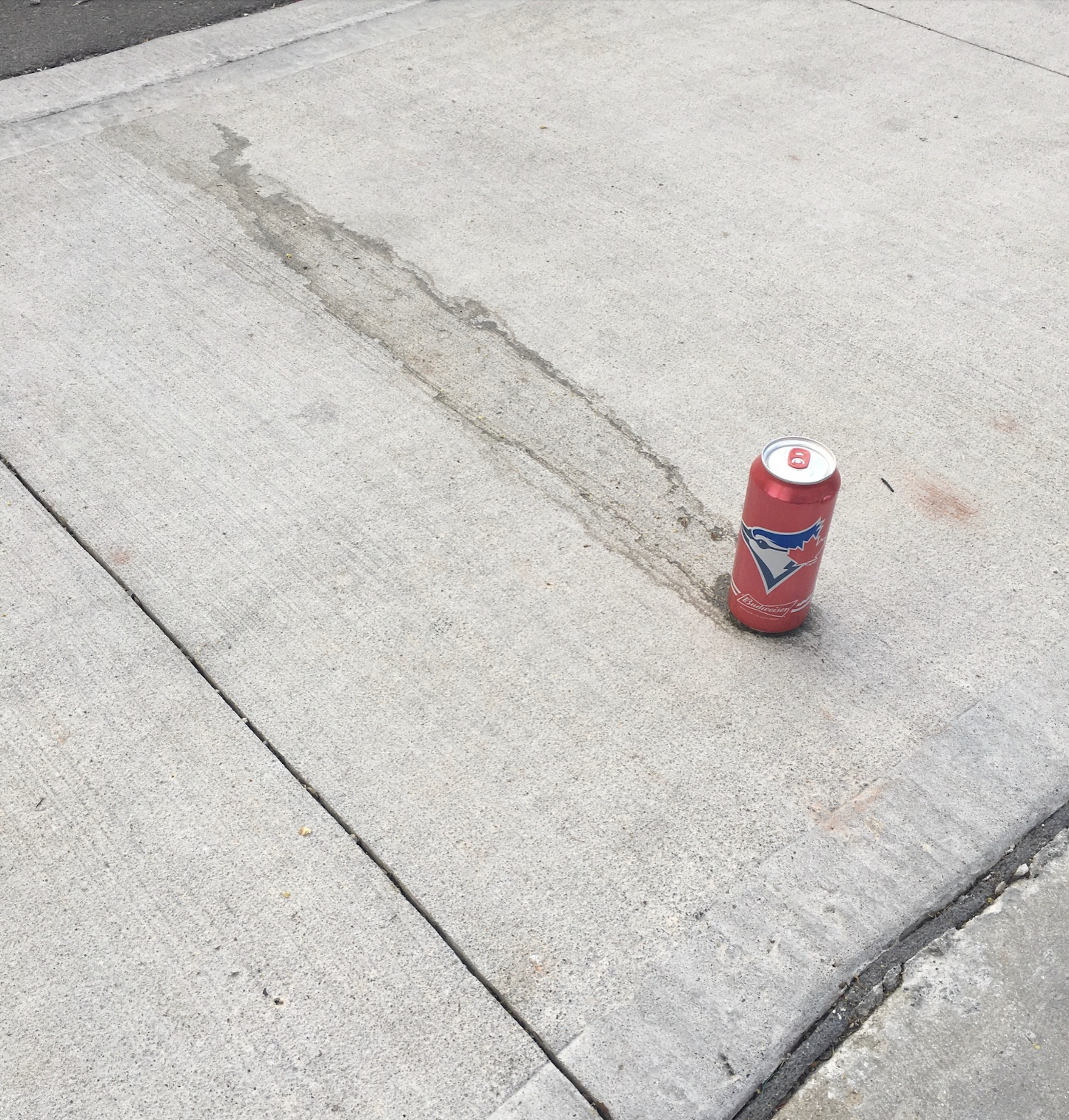 Screen Shot 2021-07-25 at 9.08.47 PM