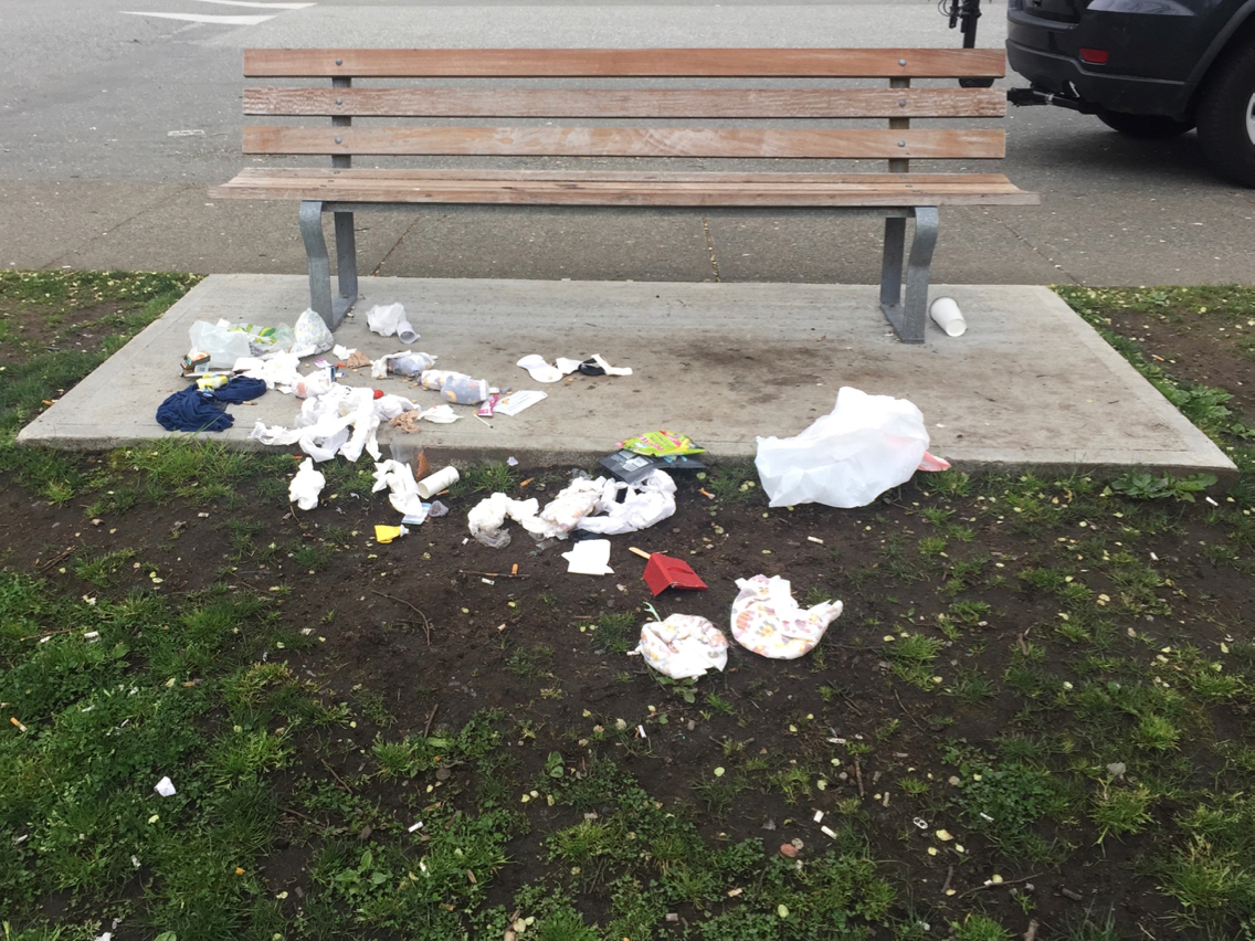 06_258 Park and Honk-GS