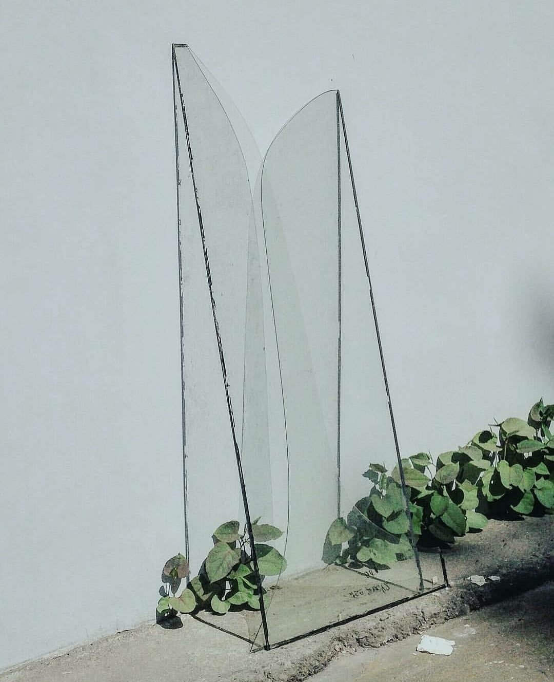 13_olya_saveleva_glass