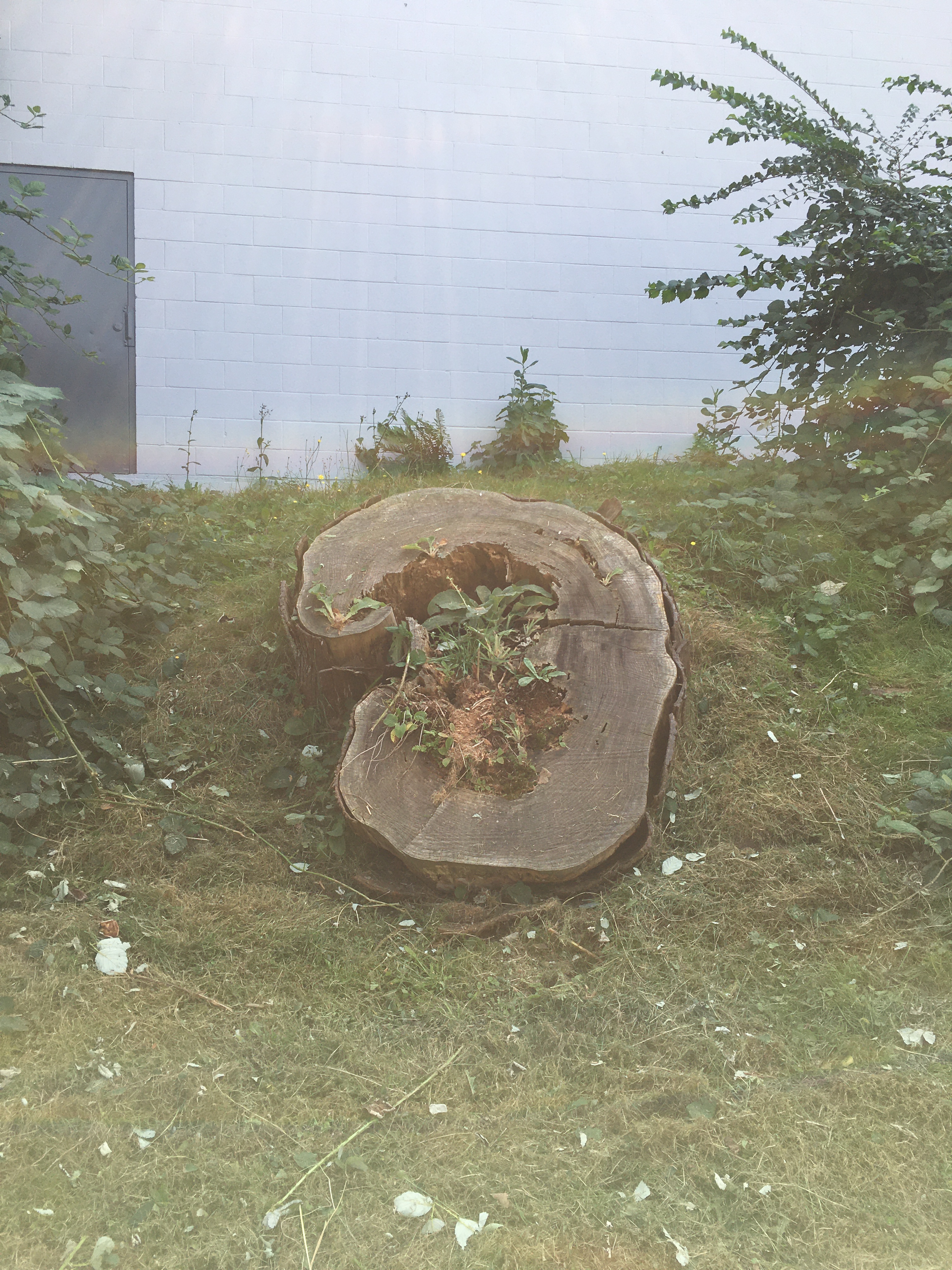 09_sg_tree
