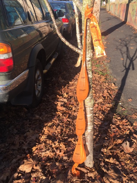 28_250 Water Bags-GS