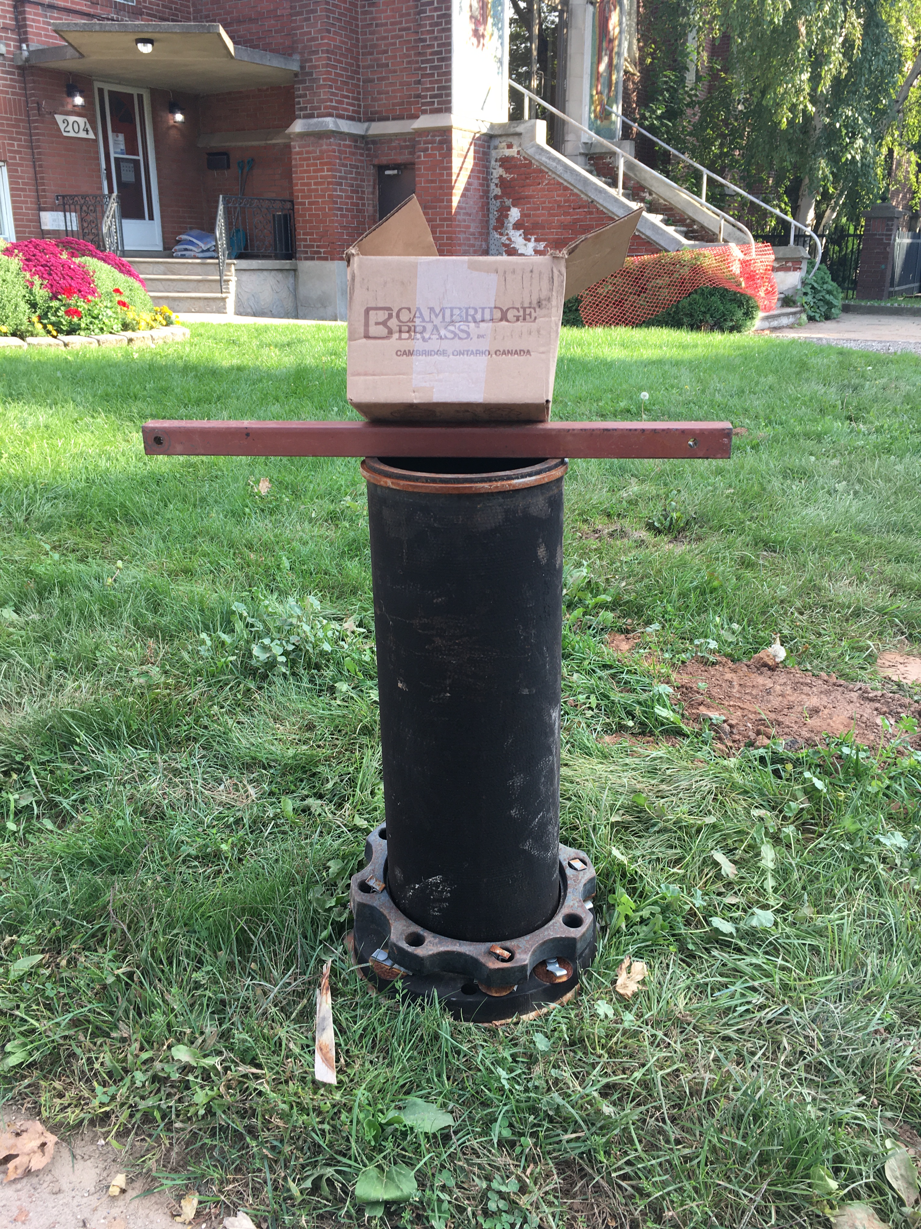 30_Trisha_cambridgebrass