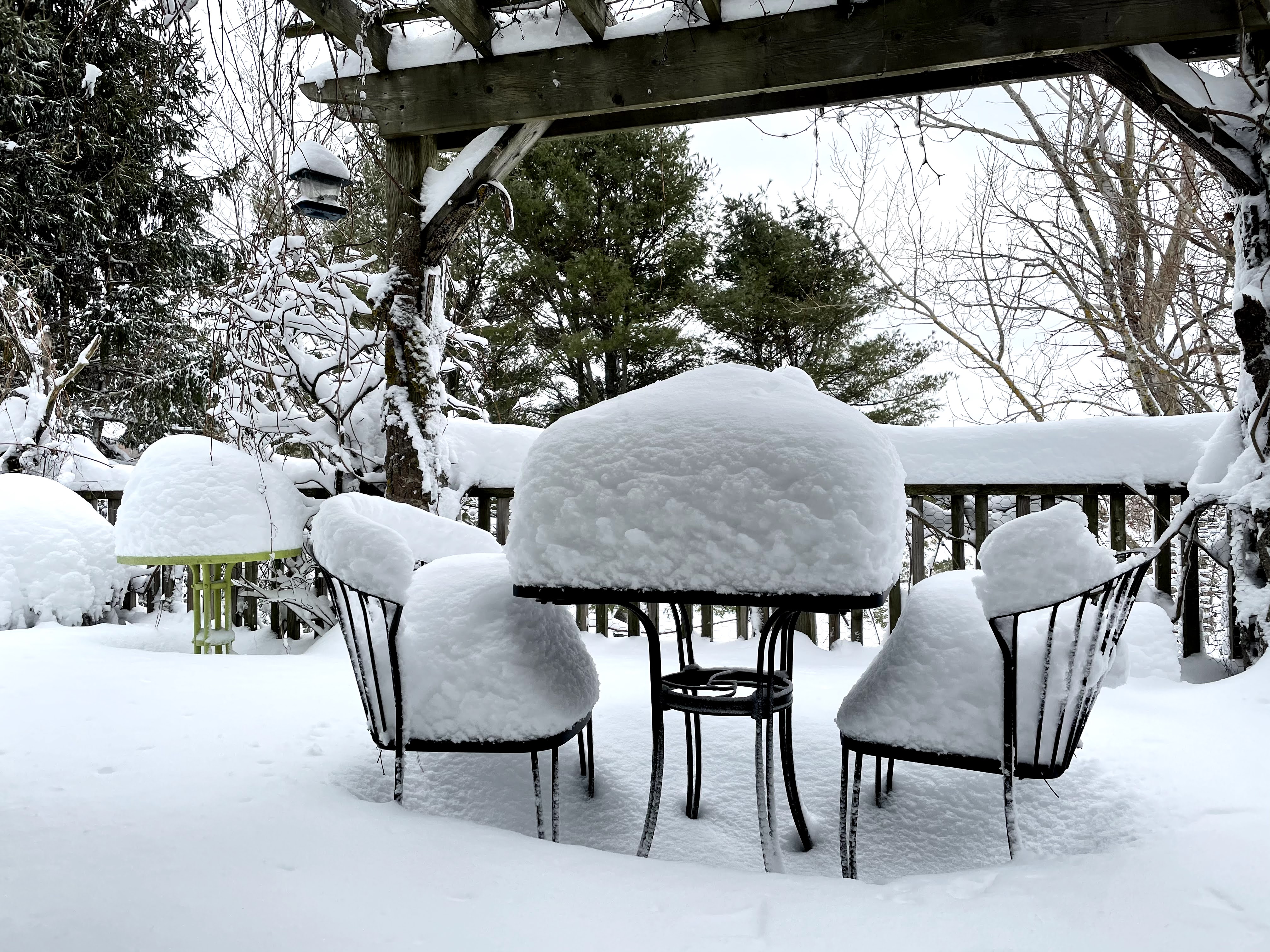 03_Brandt E IMG_0246