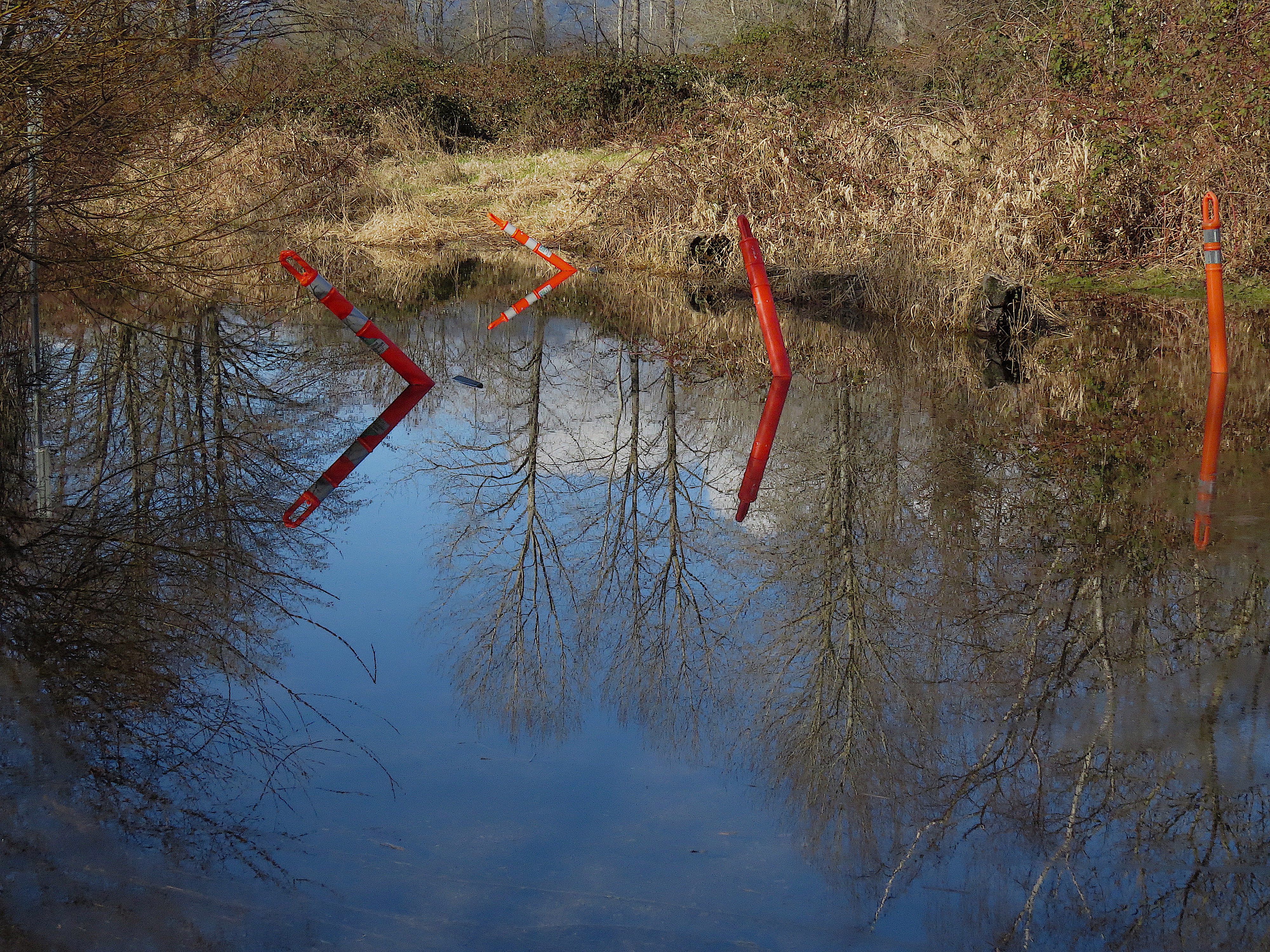 06_Coles_Laura_Lee_Orange caution tubes in water