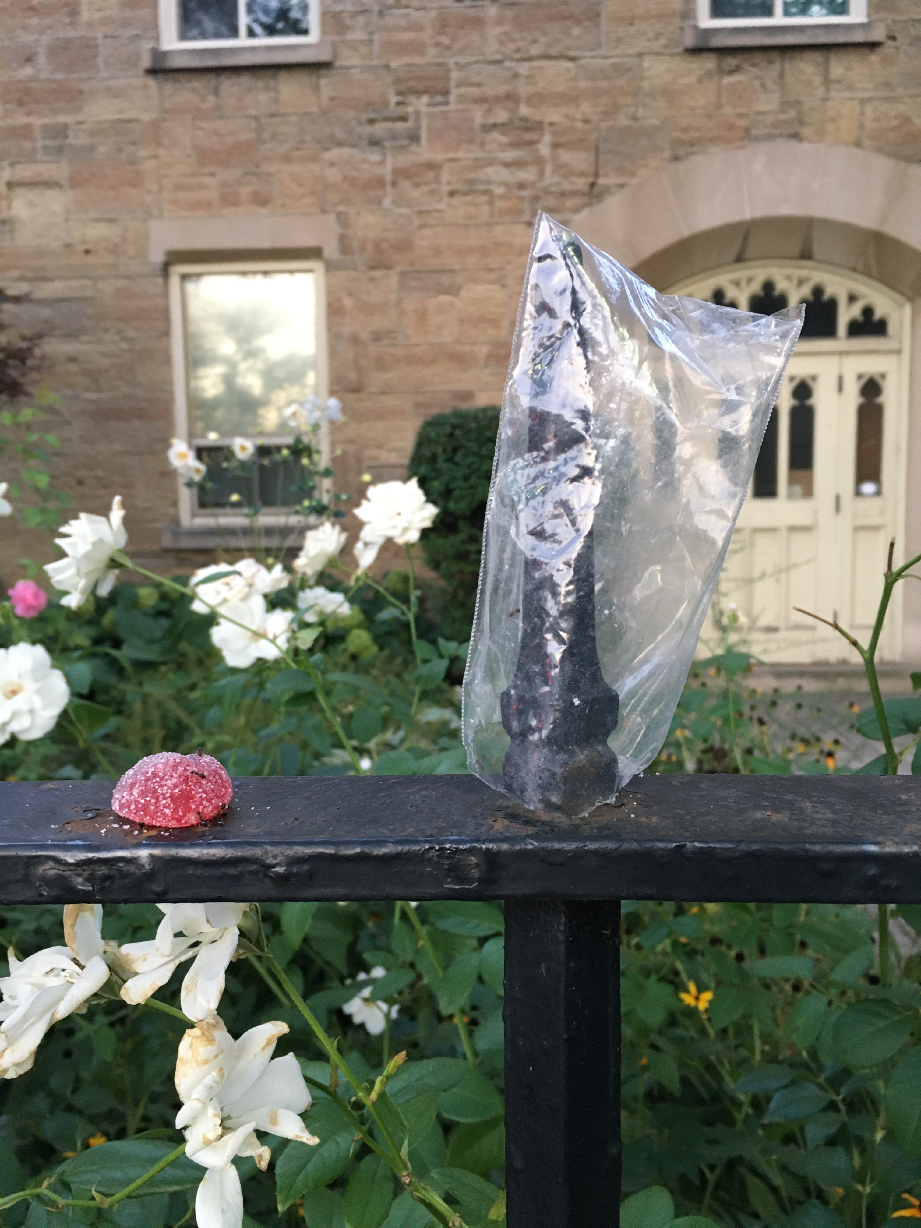 12_Trisha_candycristo