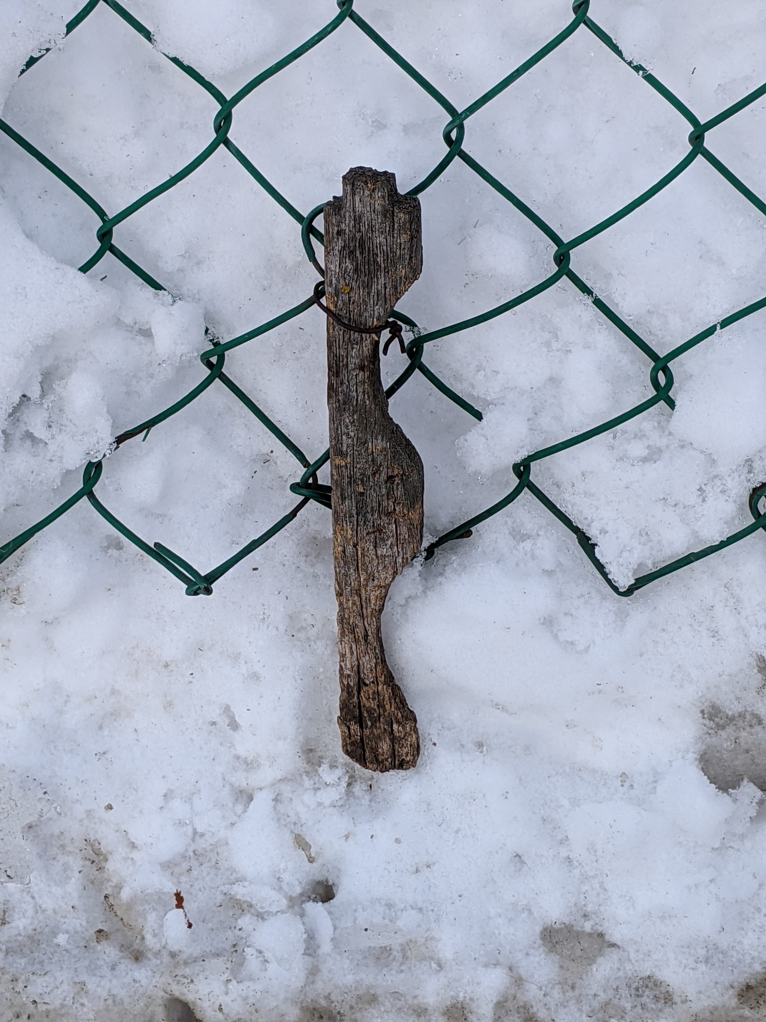 16_catherine_carmichael