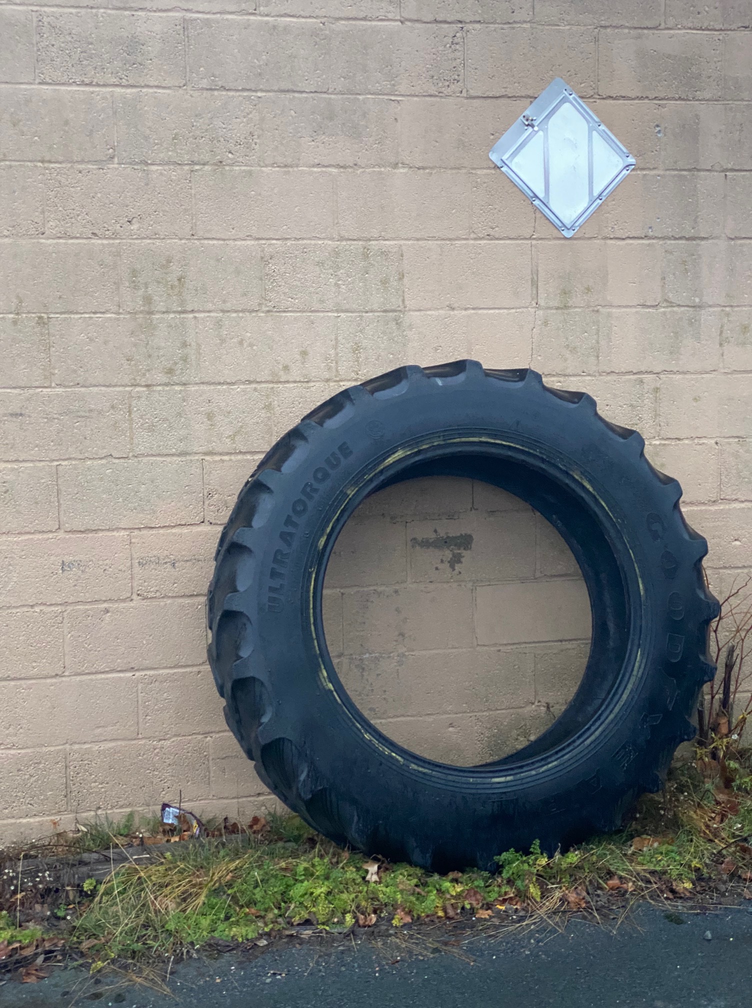 21_Nelson Andre_image6