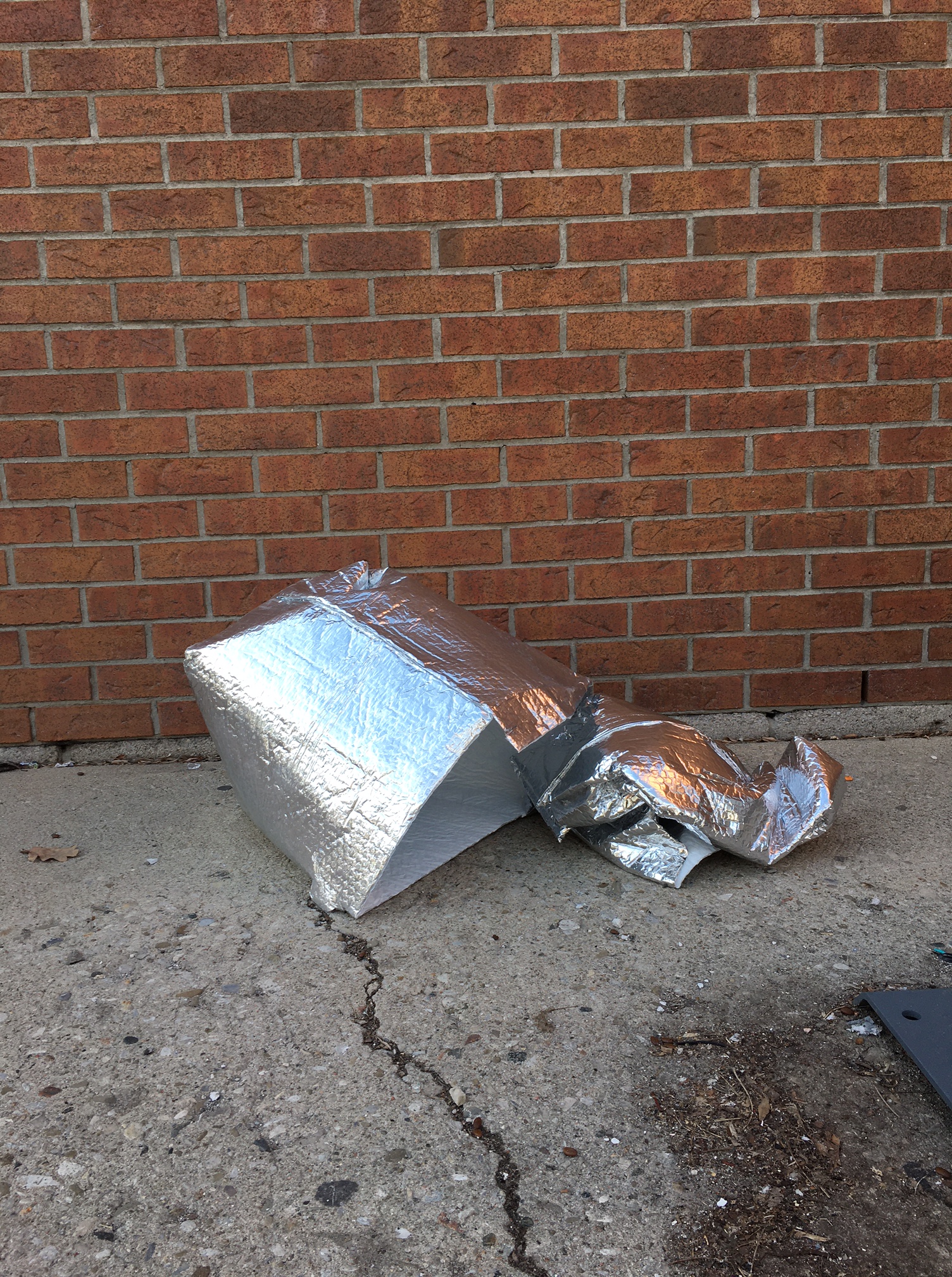 09_Trisha_lavoie_silver