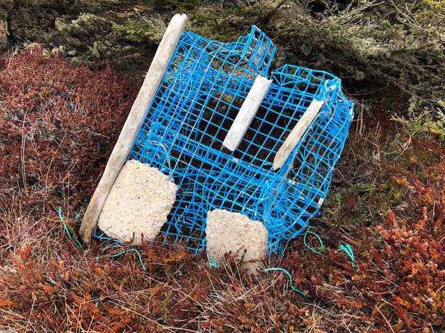 11_SAD_LobsterTrap_Barbara