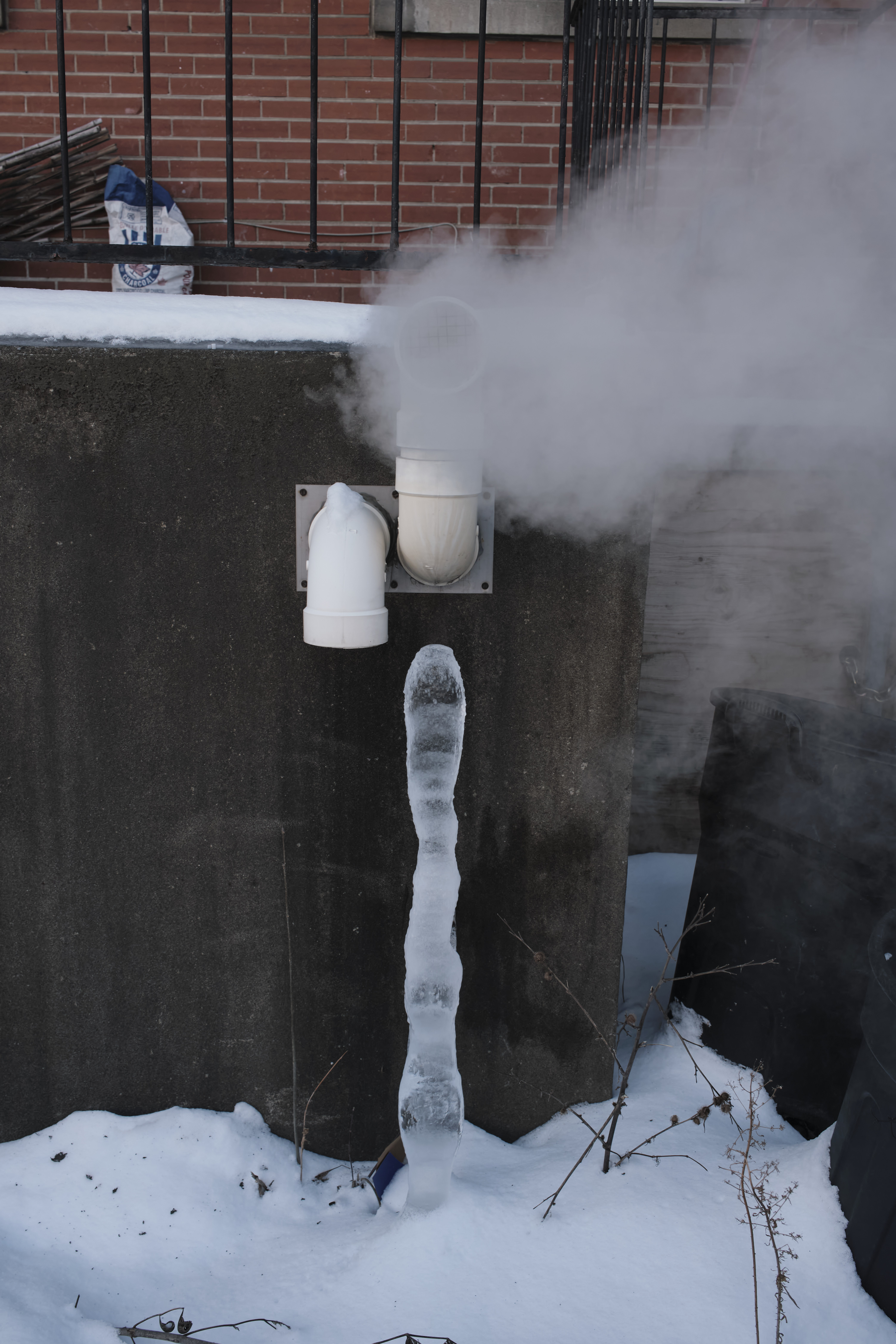 18_DeanGarlickIceScultpure (1)