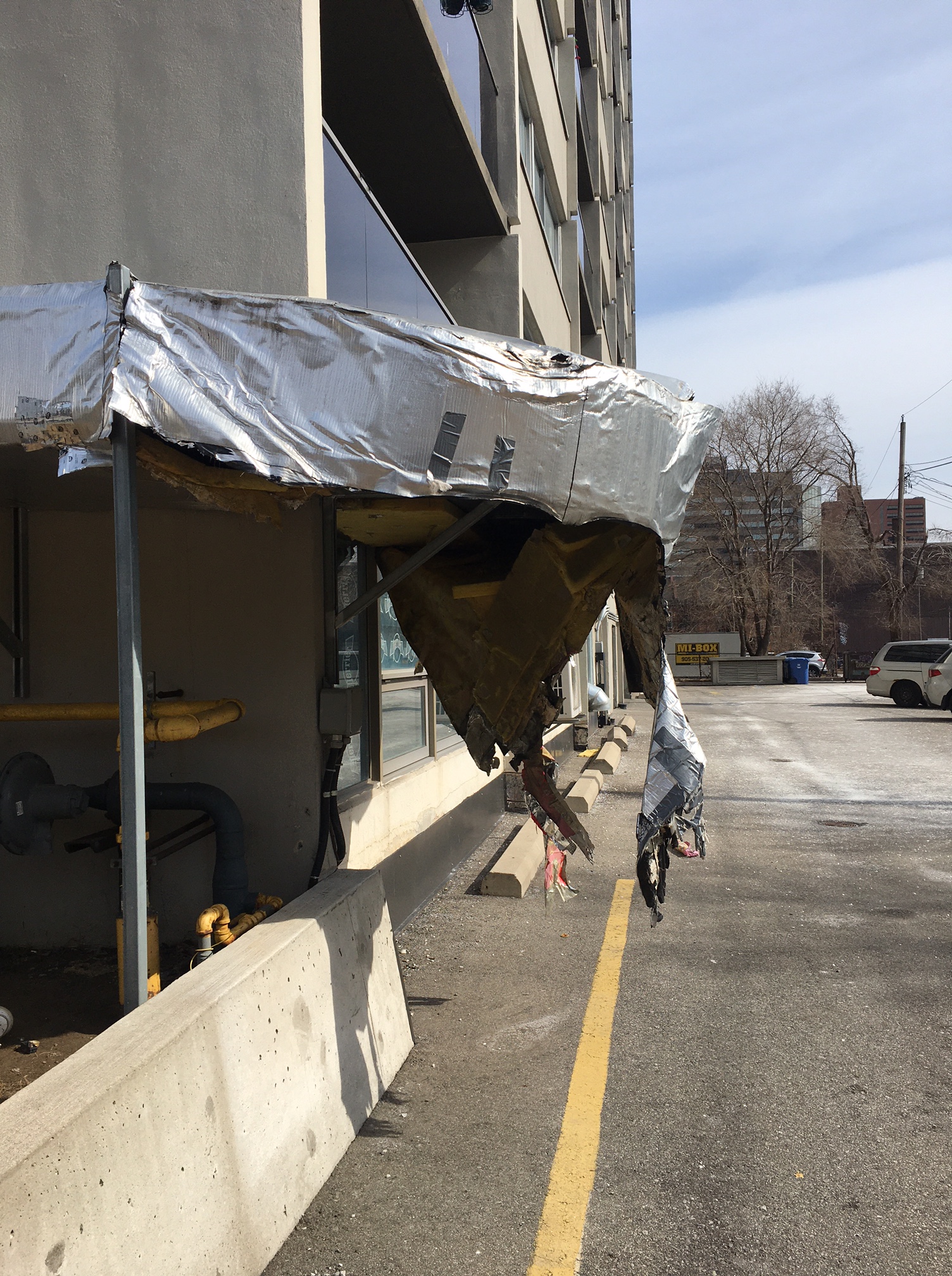 25_Trisha_lavoie_hanging