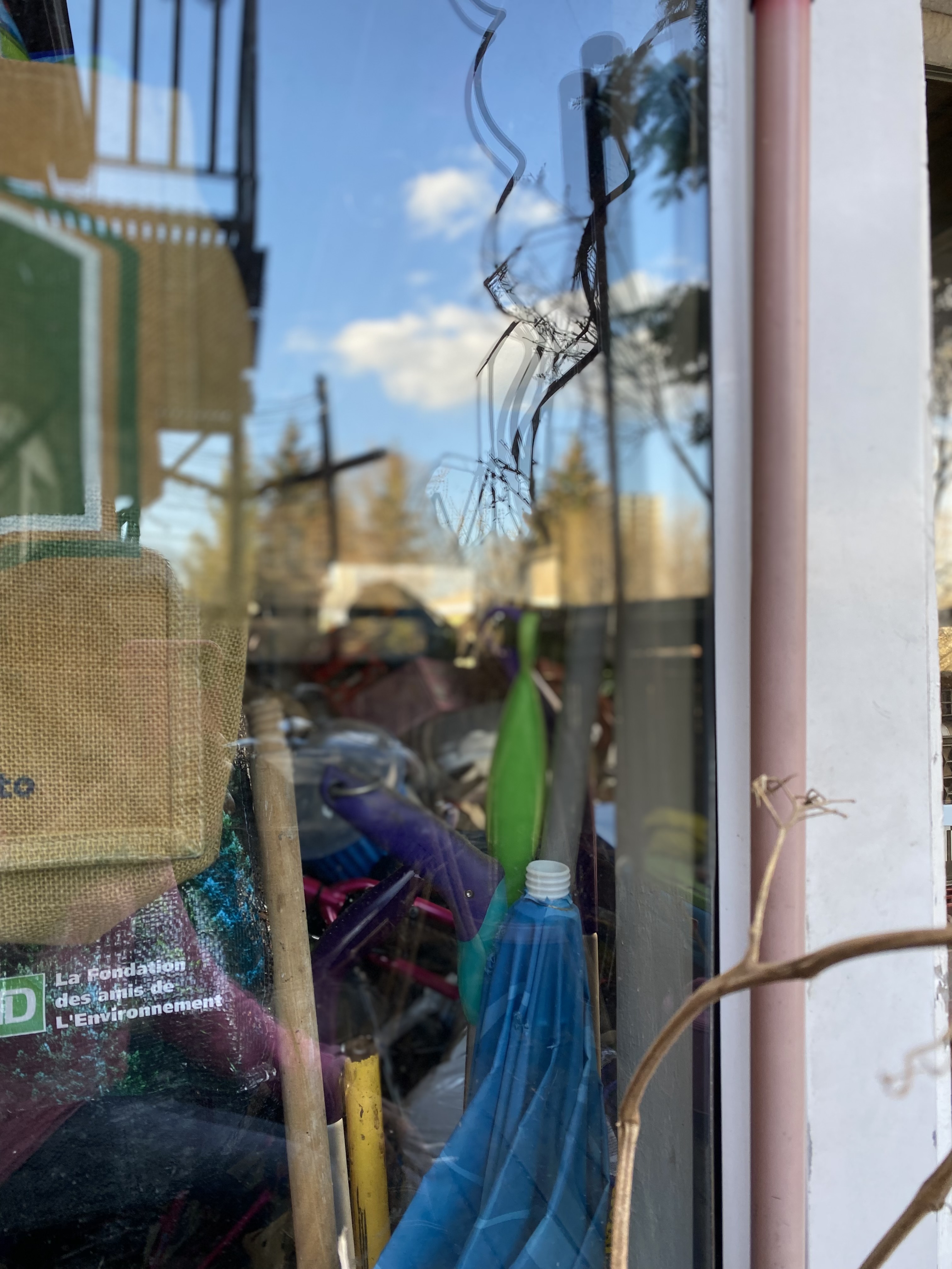 20_Shalini_roy_reflection