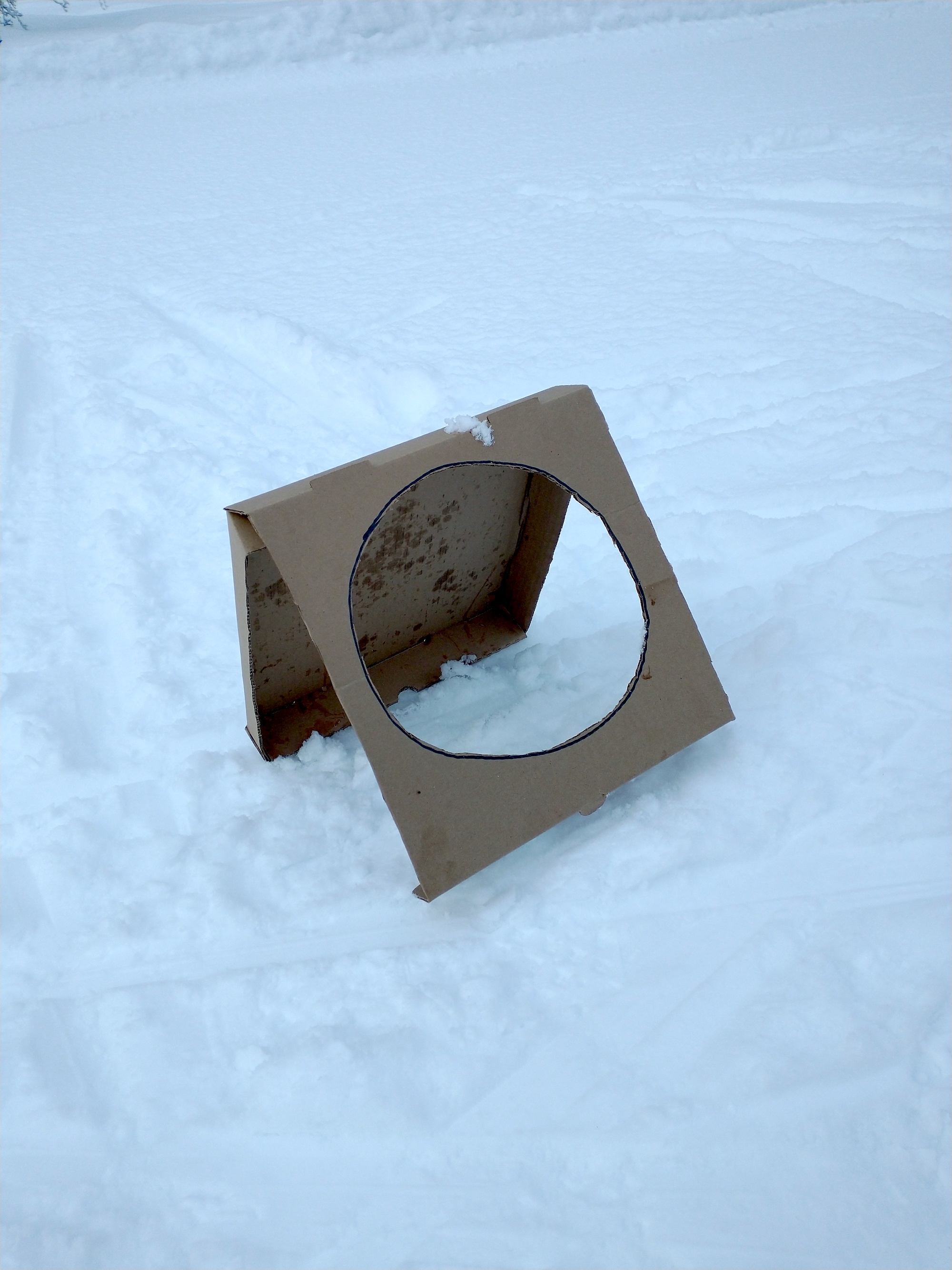 30_BLye_pizzaboxtarget