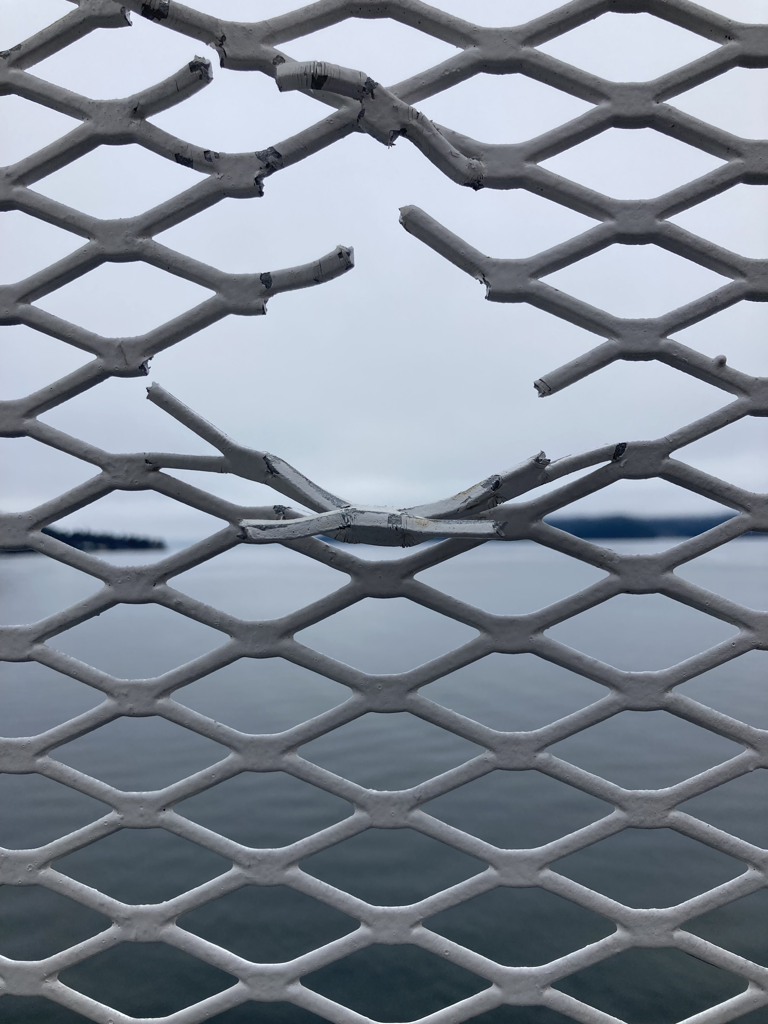 20_reece_terris_fence