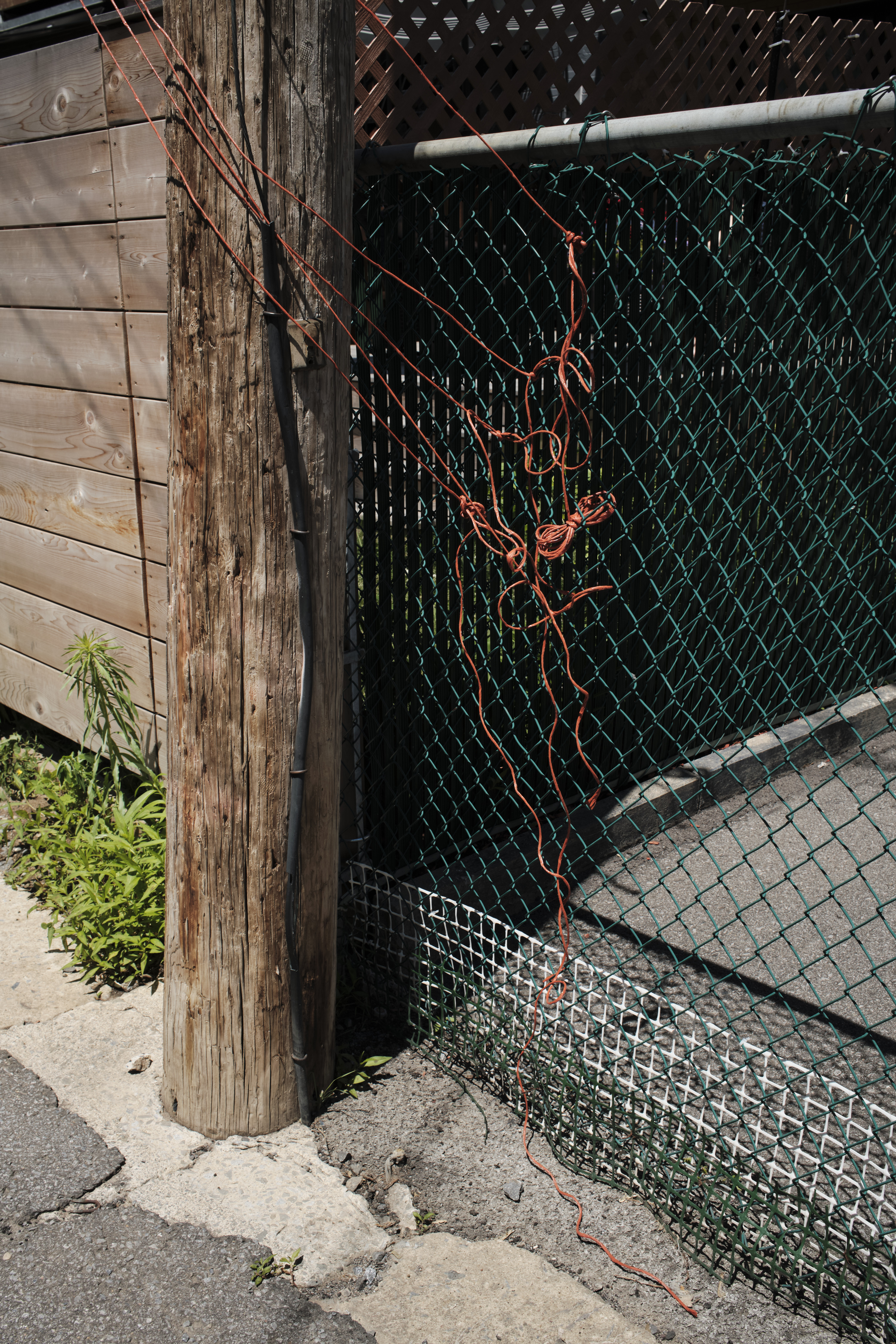 23_DeanGarlickOrangeString