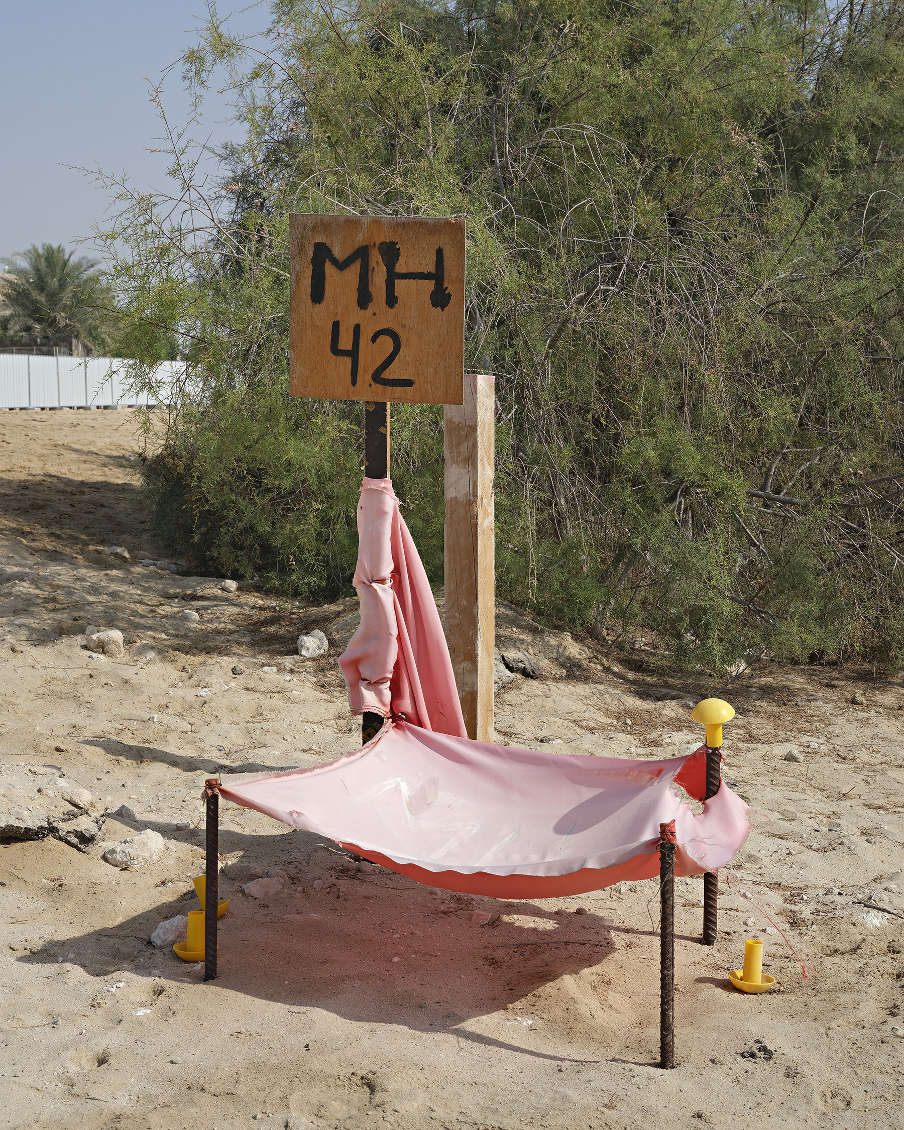 25_WalterWillems-Al_Reef