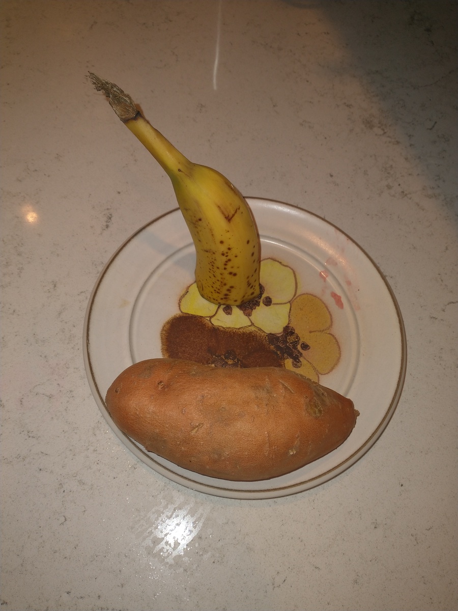 29_BML__20210805_094617613