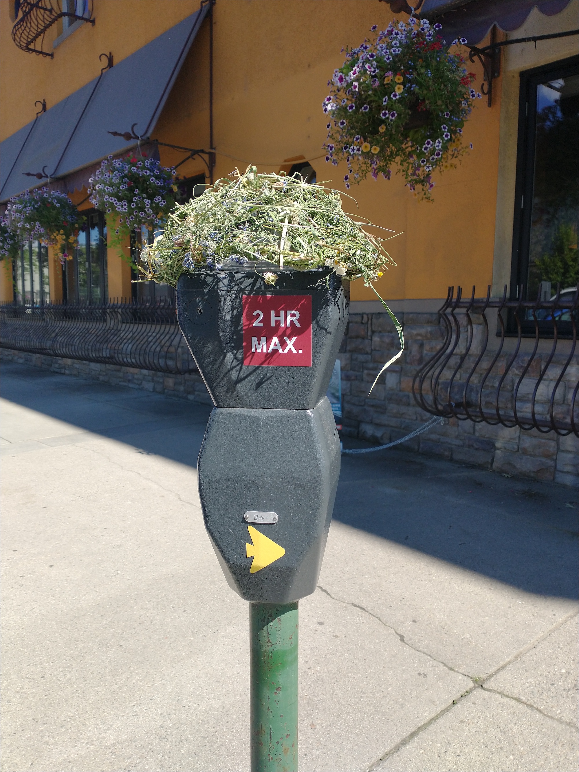 16_BLye_SAD_SEPT_parkingnest