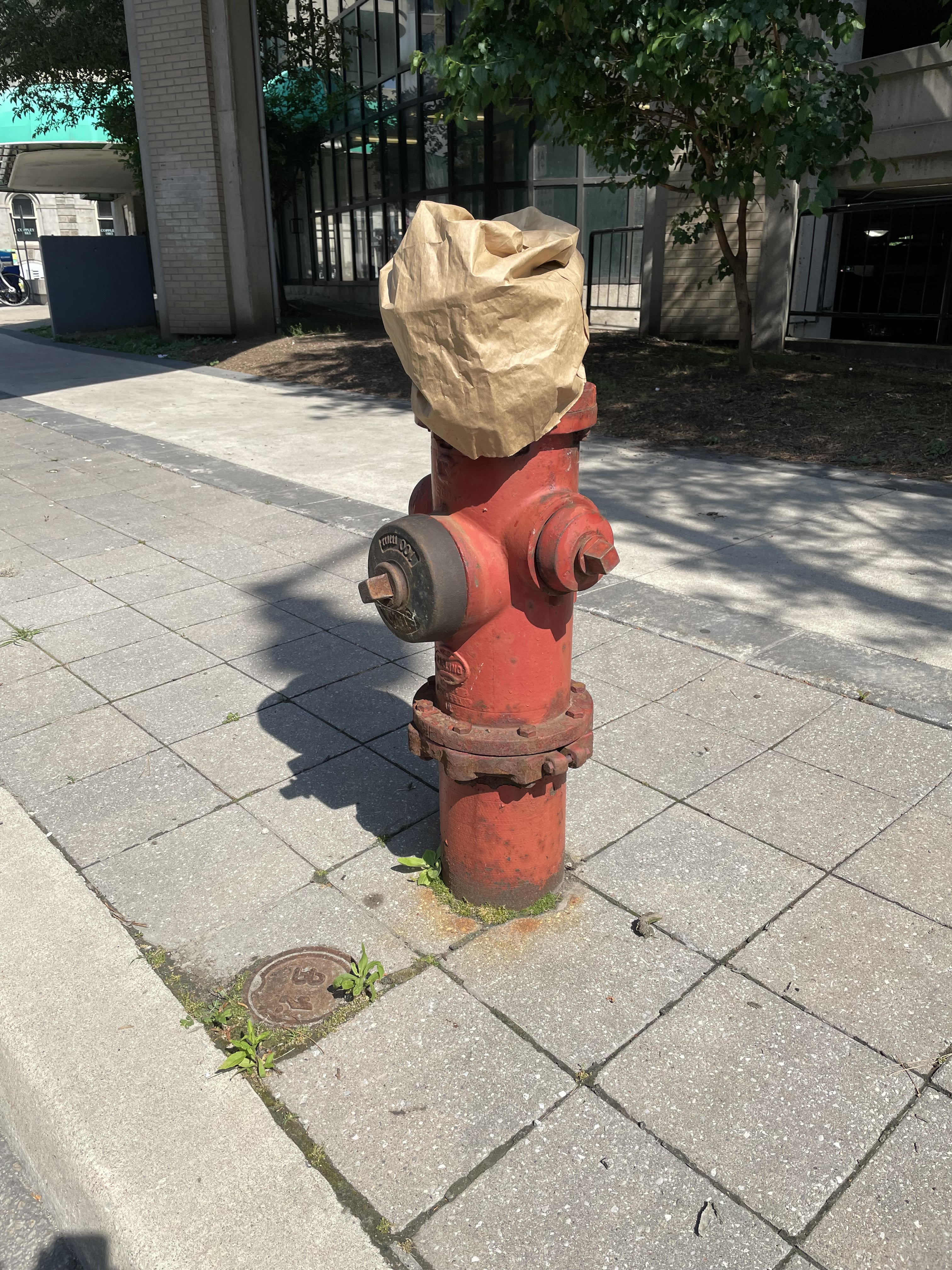 17_mcphailhydrantbaghat