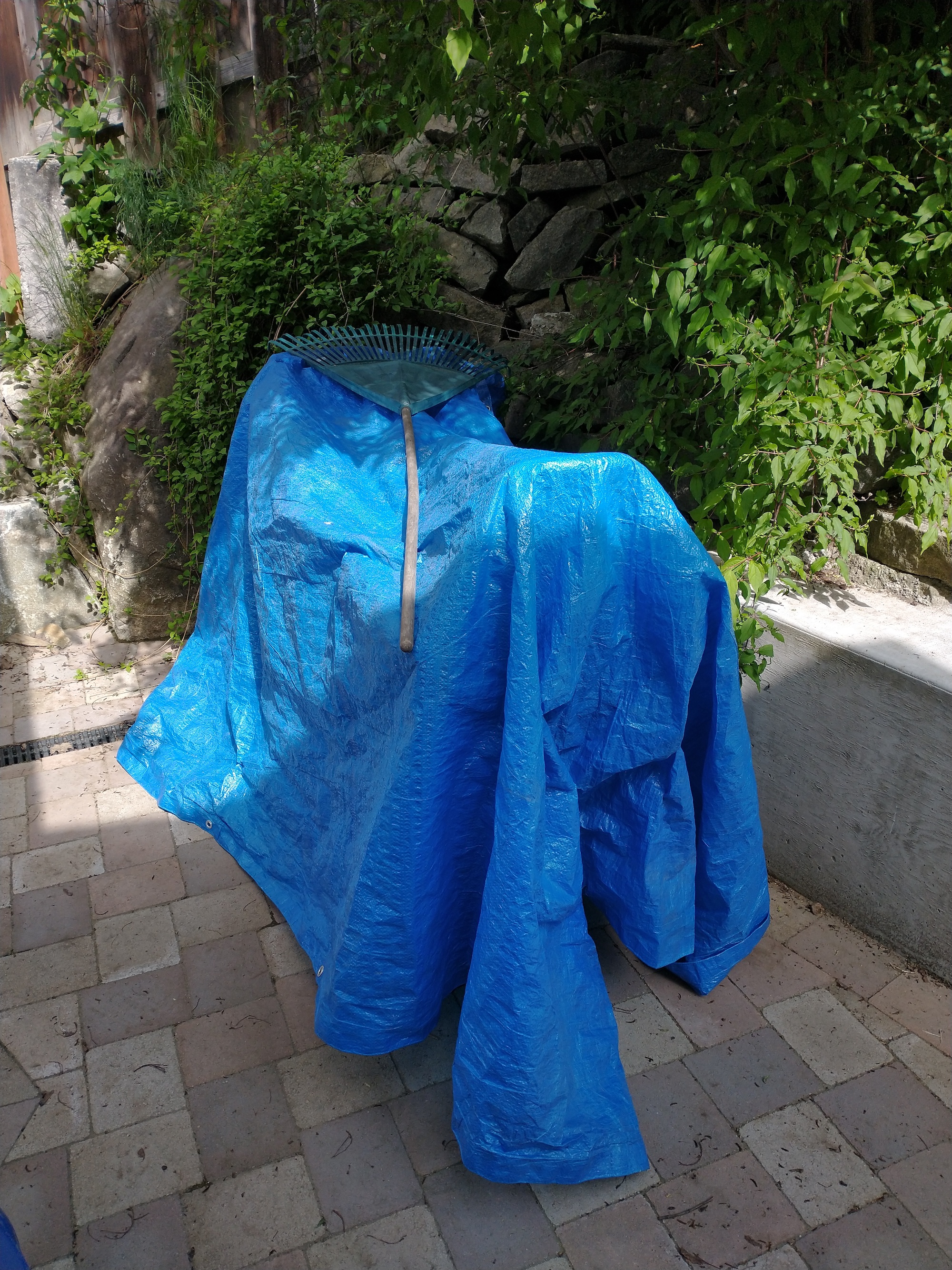 21_BLye_SAD_SEPT_bluetarp