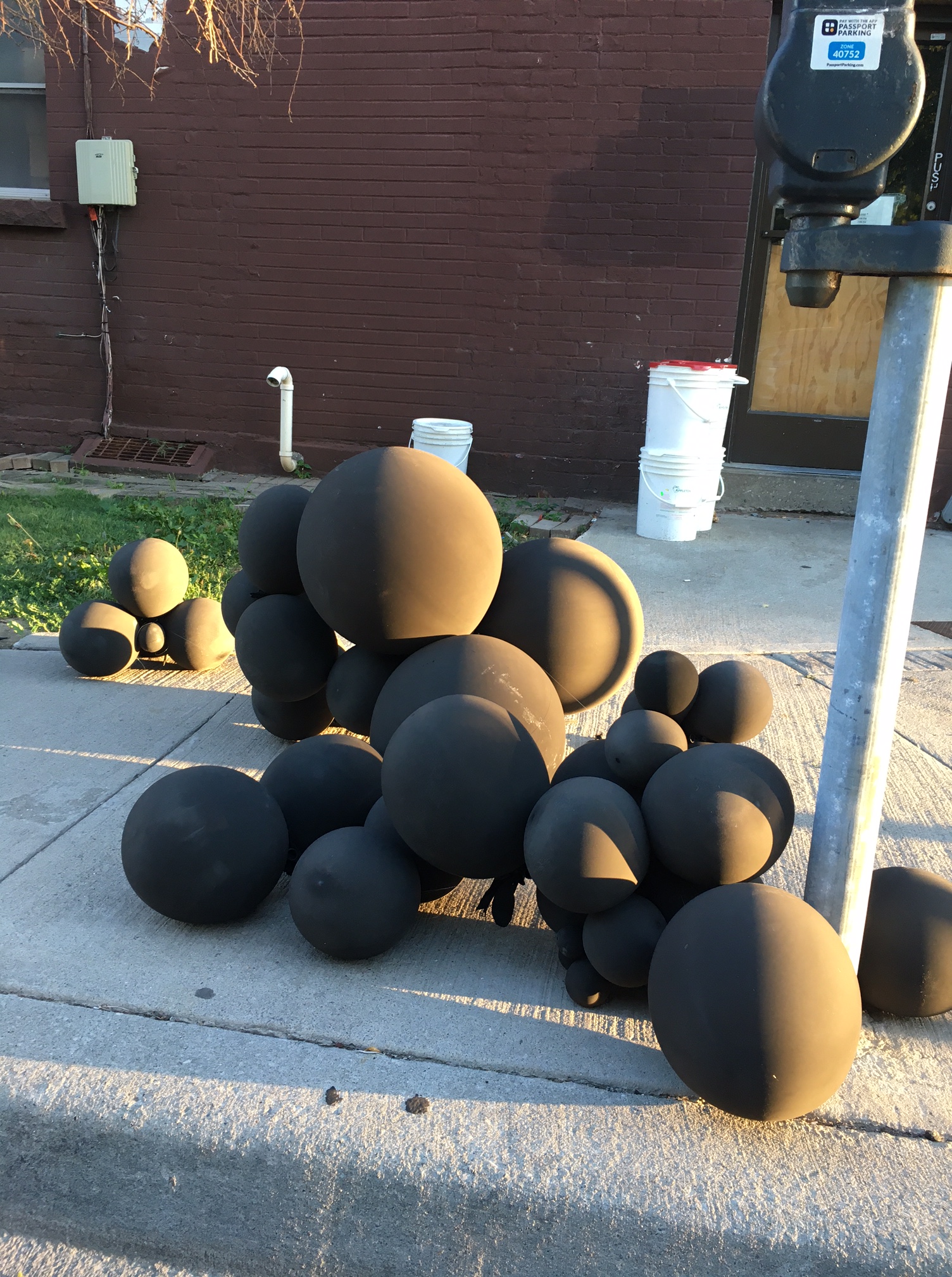 14_trisha_leigh_lavoie_image3