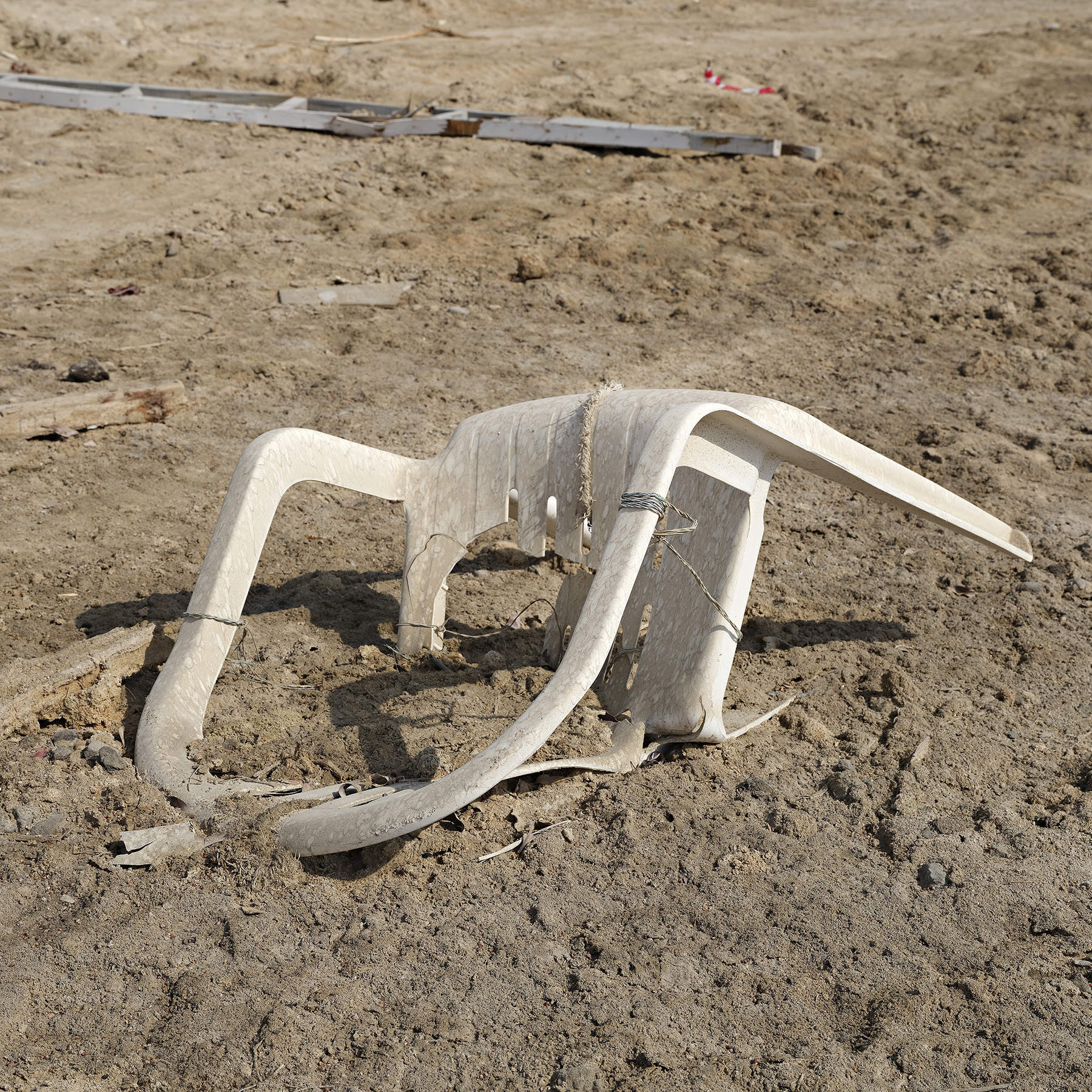 18_WalterWillems-Al_Reef