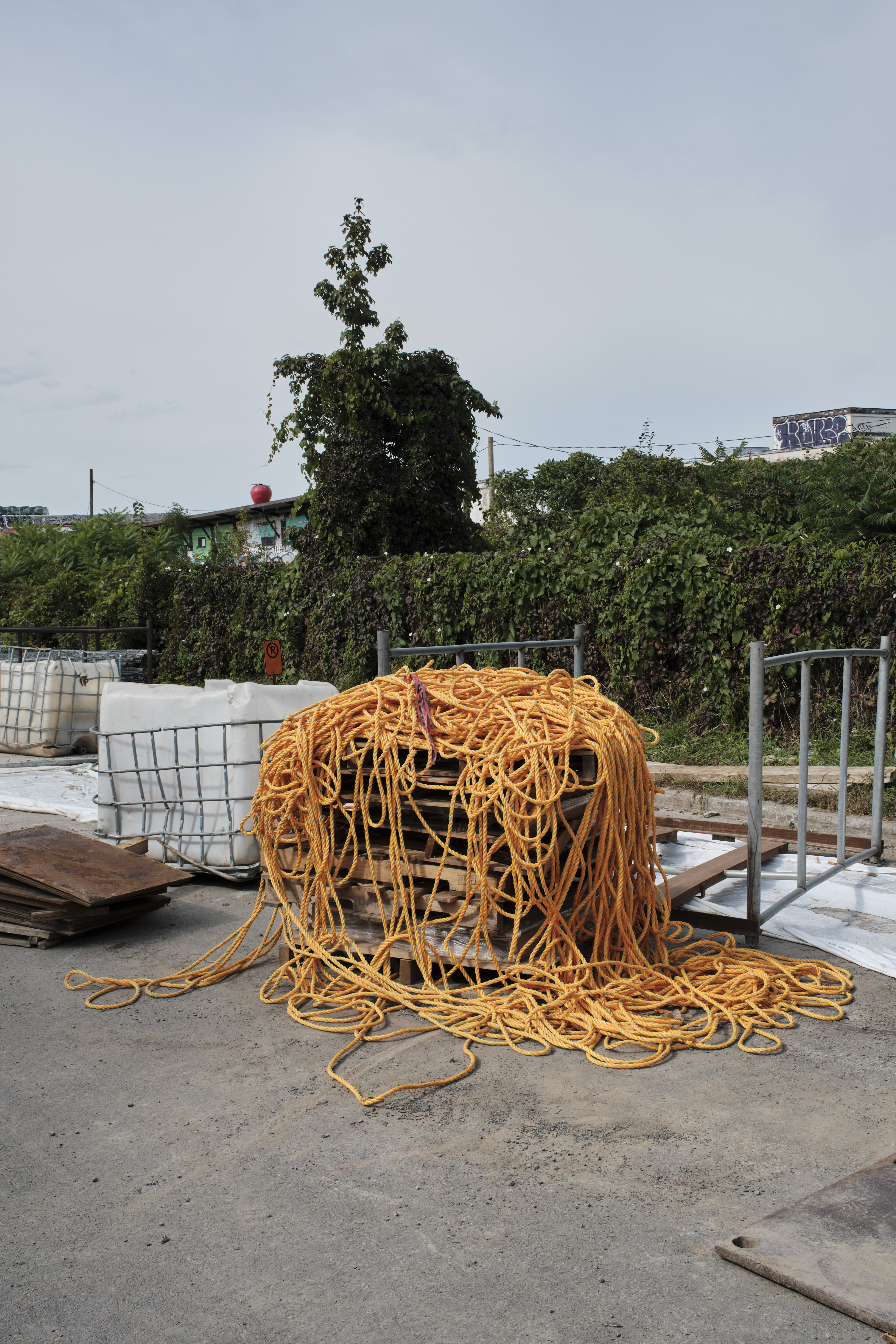 22_DeanGarlickYellowRope