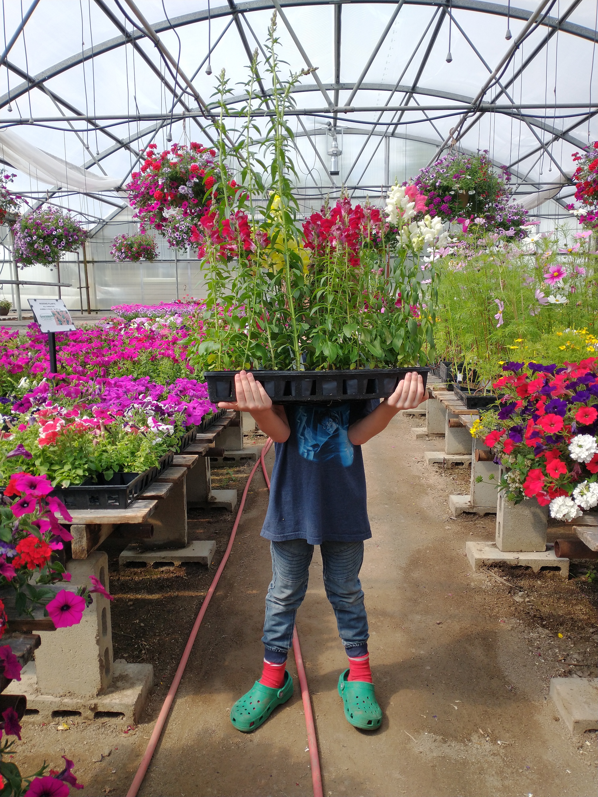 18_BLye_SAD_SEPT_flowers