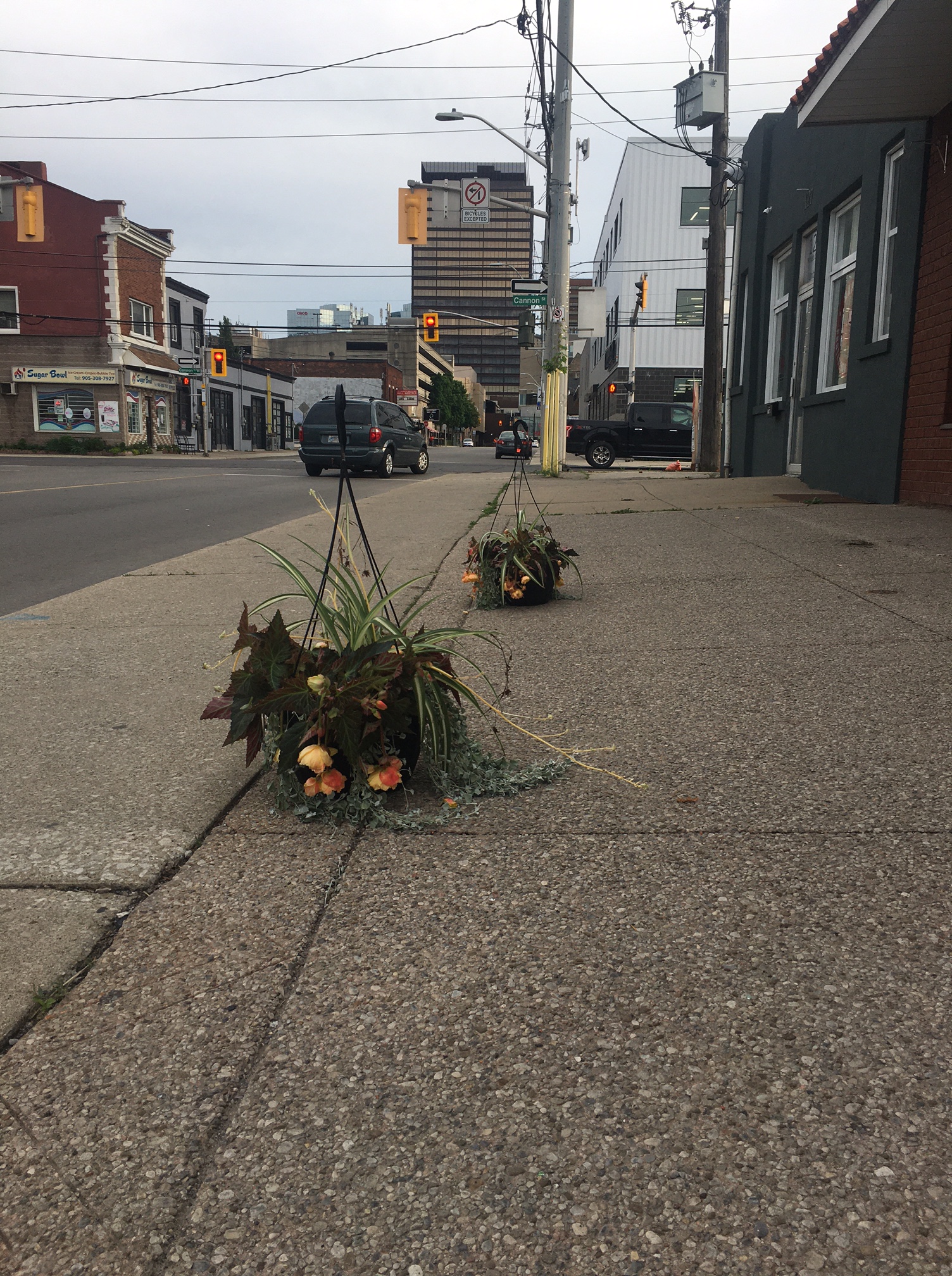 19_trisha_leigh_lavoie_image6