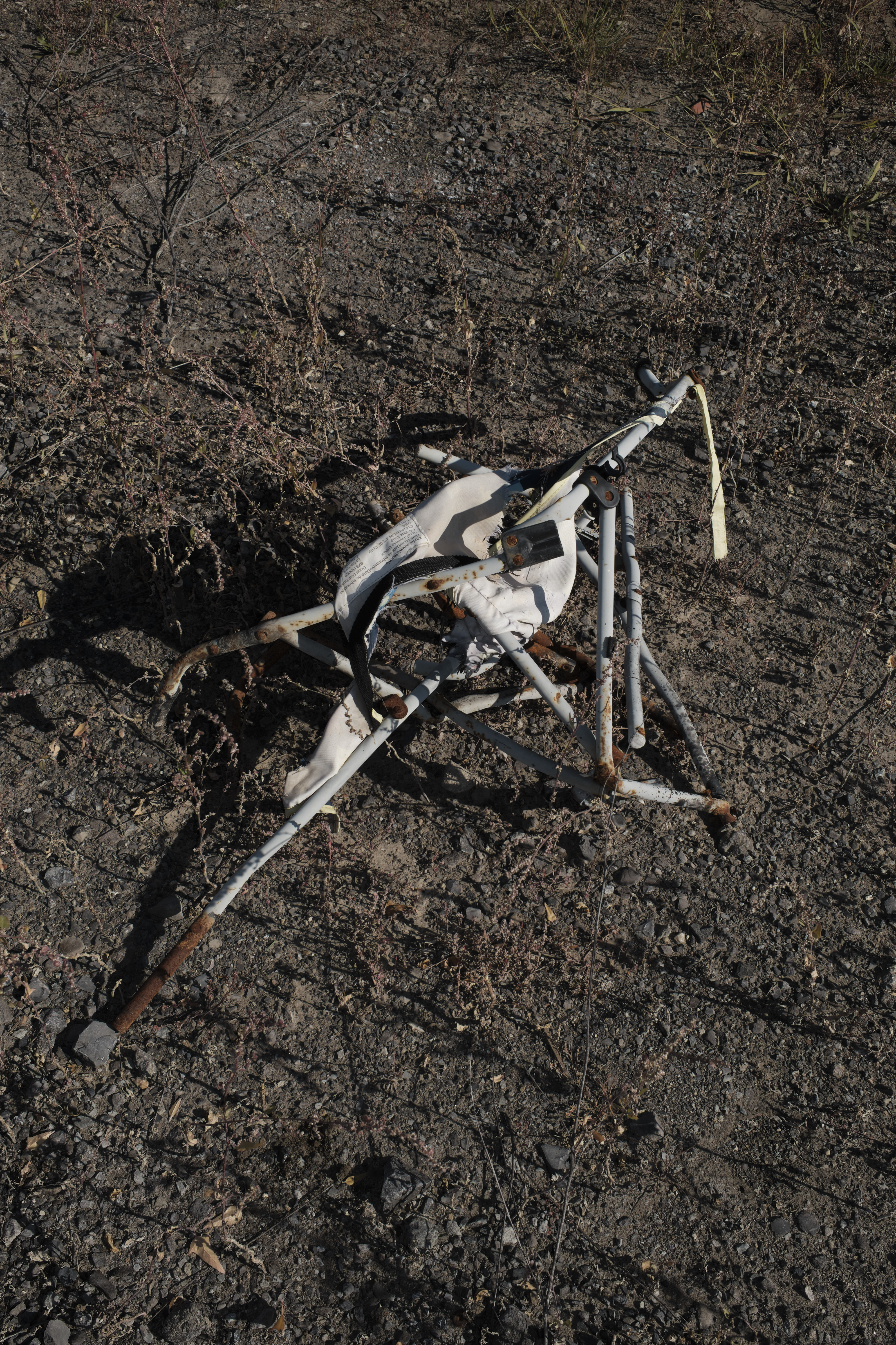 14_creatureDeanGarlick