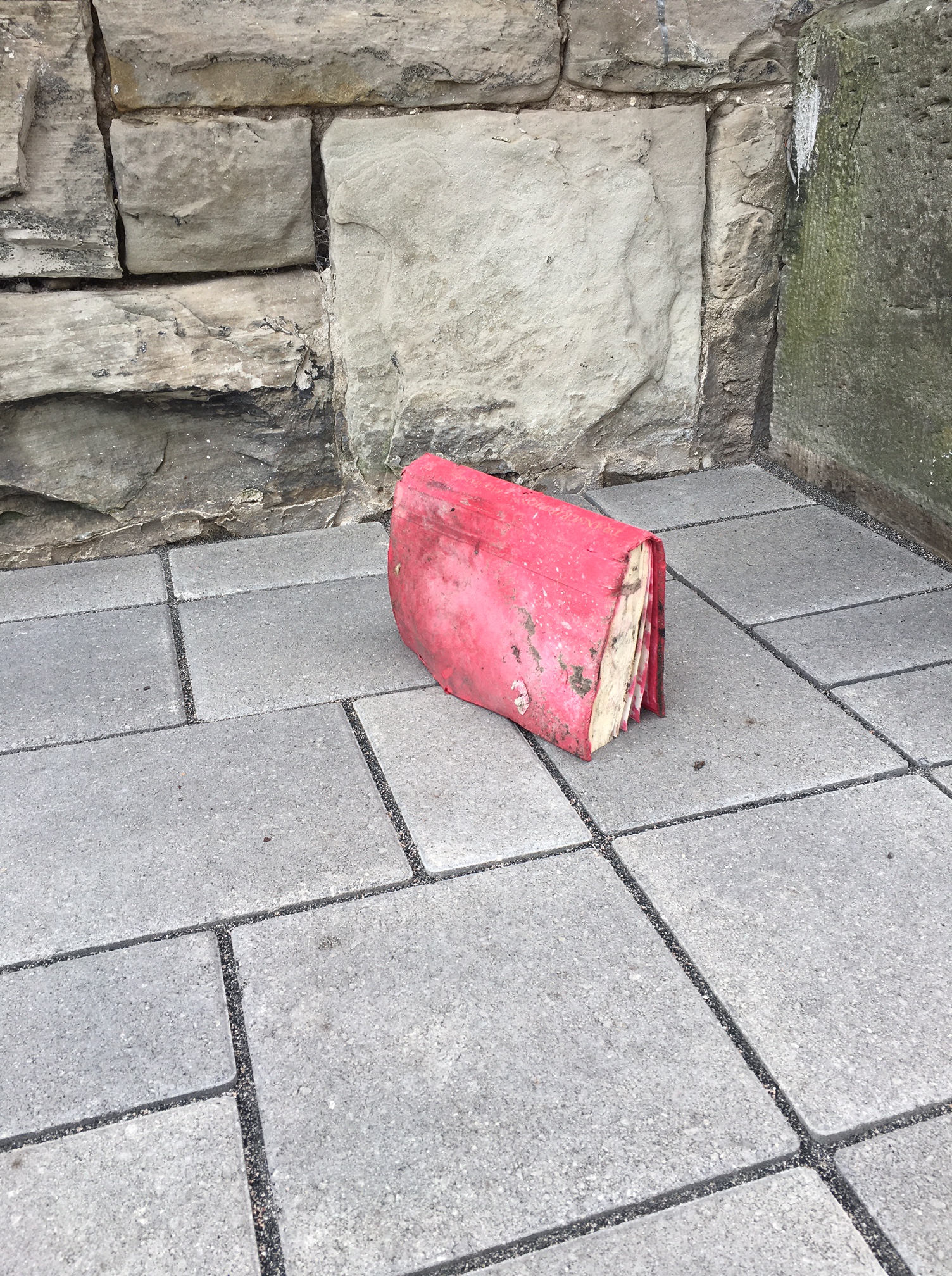 18_trisha_leigh_lavoie_image1 (1)