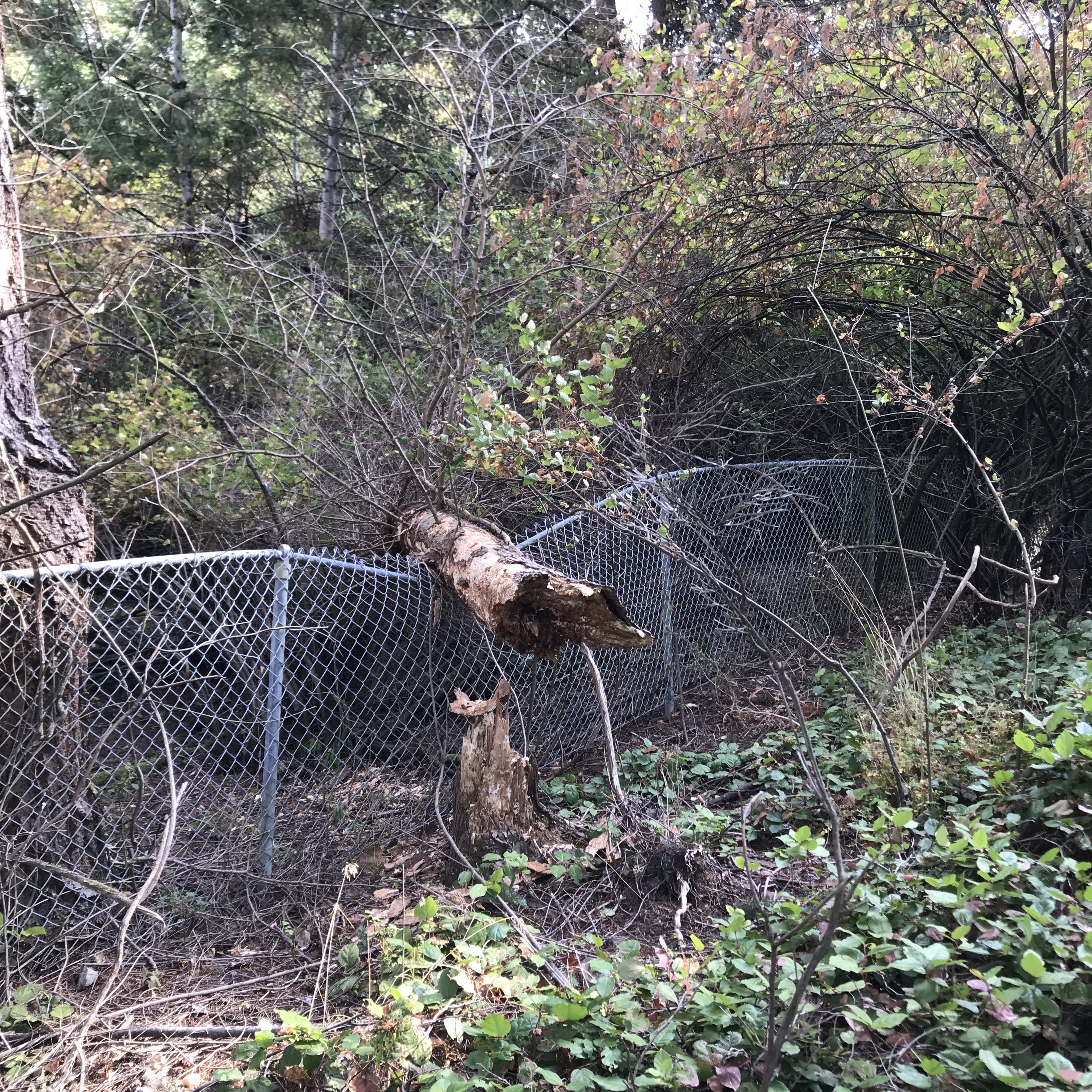 24_Christof_IMG_0849