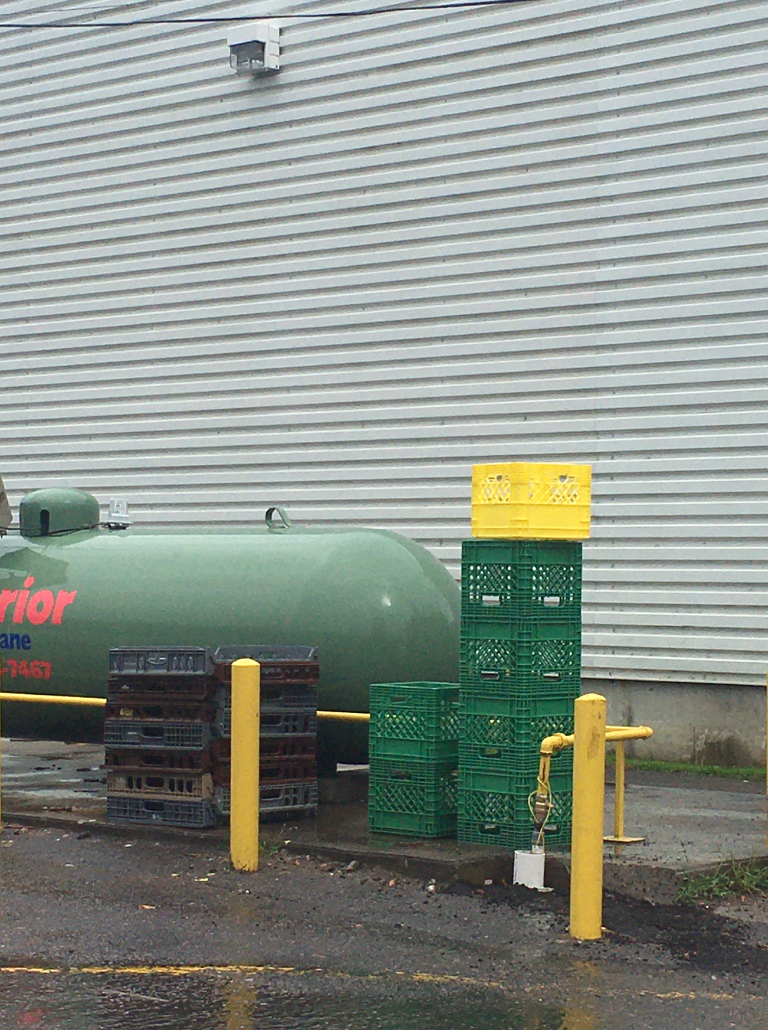 01_trisha_leigh_lavoie_image2 (3)