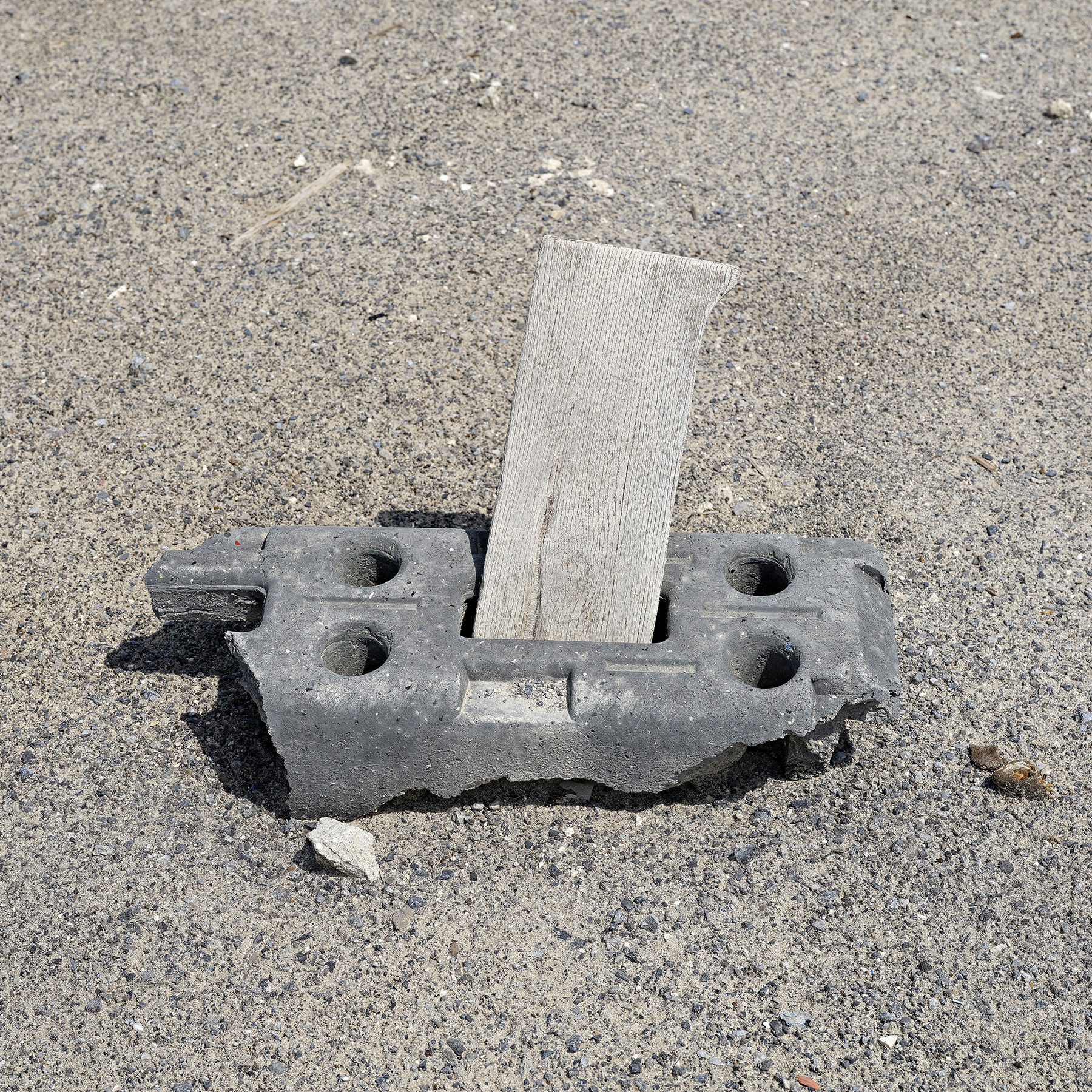 05_WalterWillems-Mina_Zayed