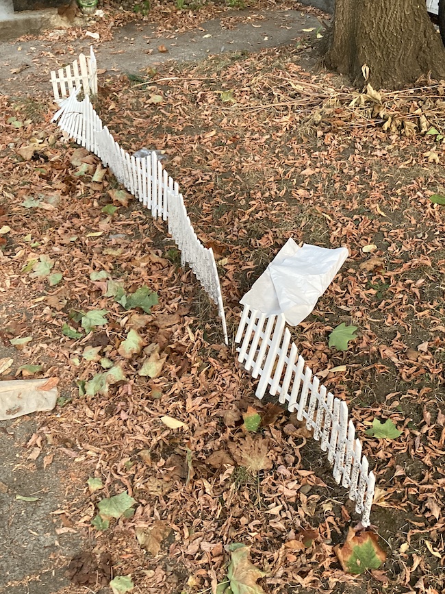 27_JoanneB_2022_Oct1