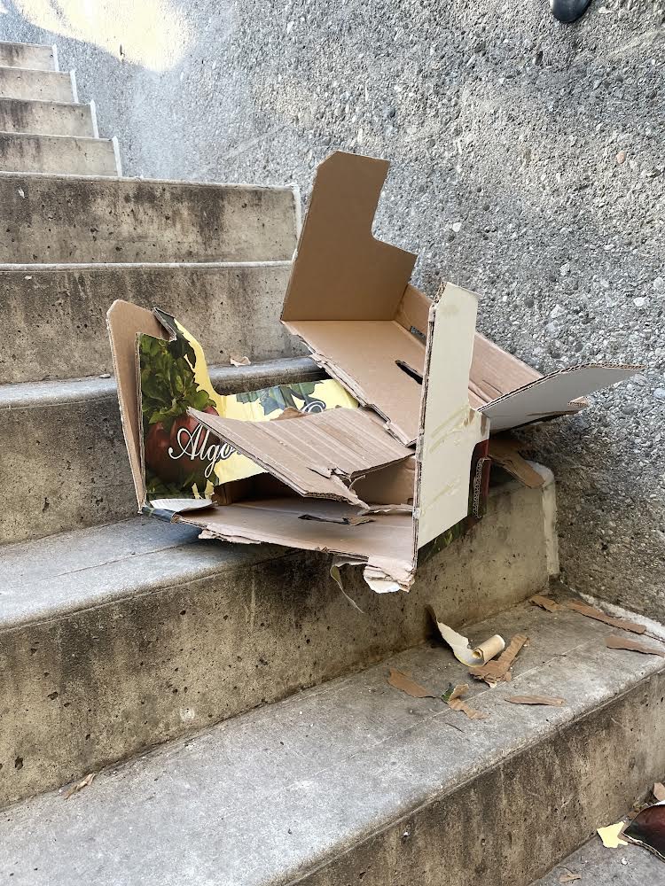 31_mcphail.cardboard