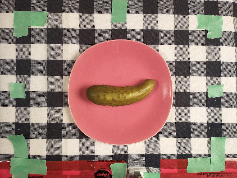 28_BLye-pickle