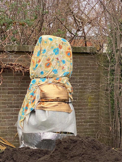 11_Anja_Vermeer_cover