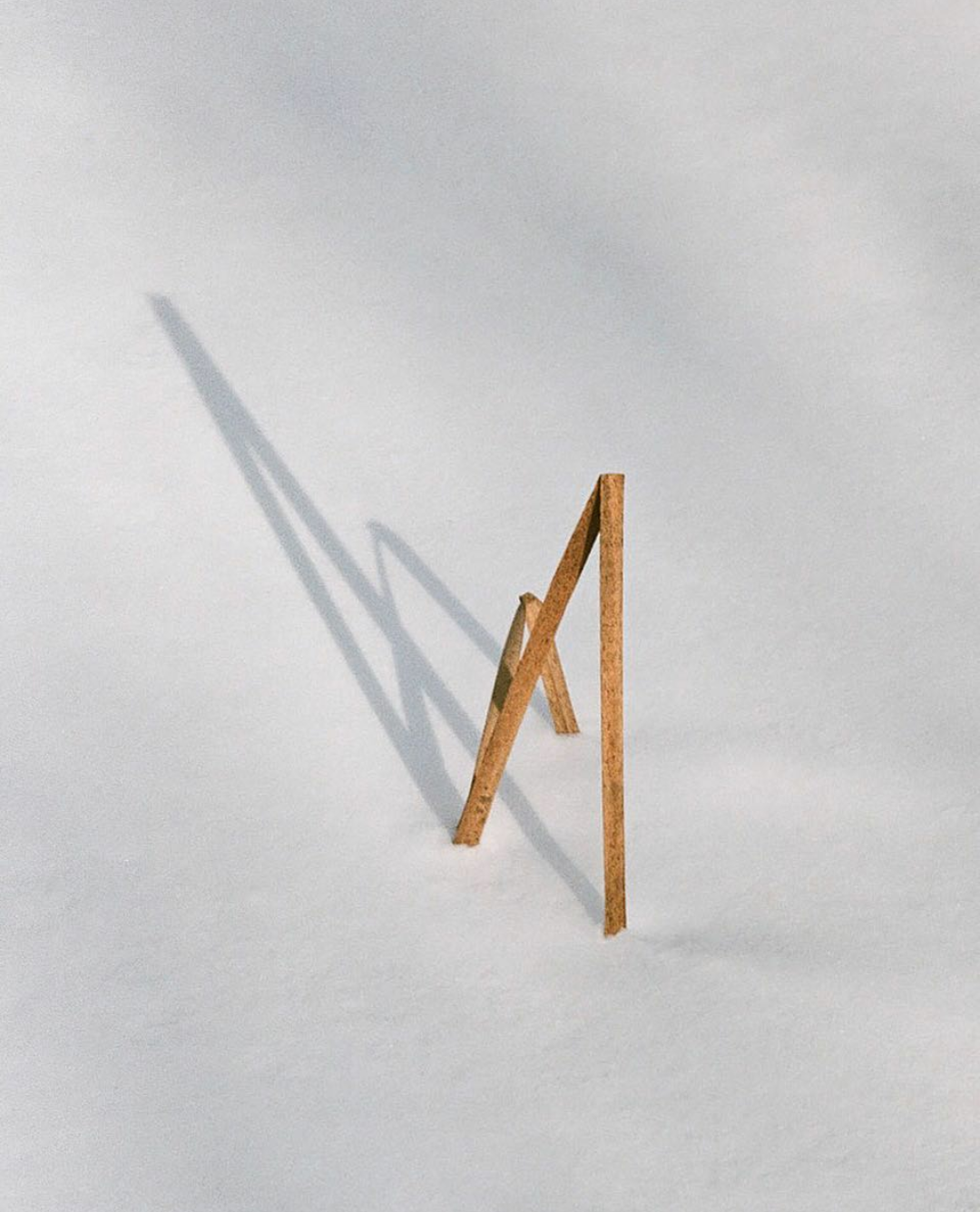 30_olya_saveleva_reed