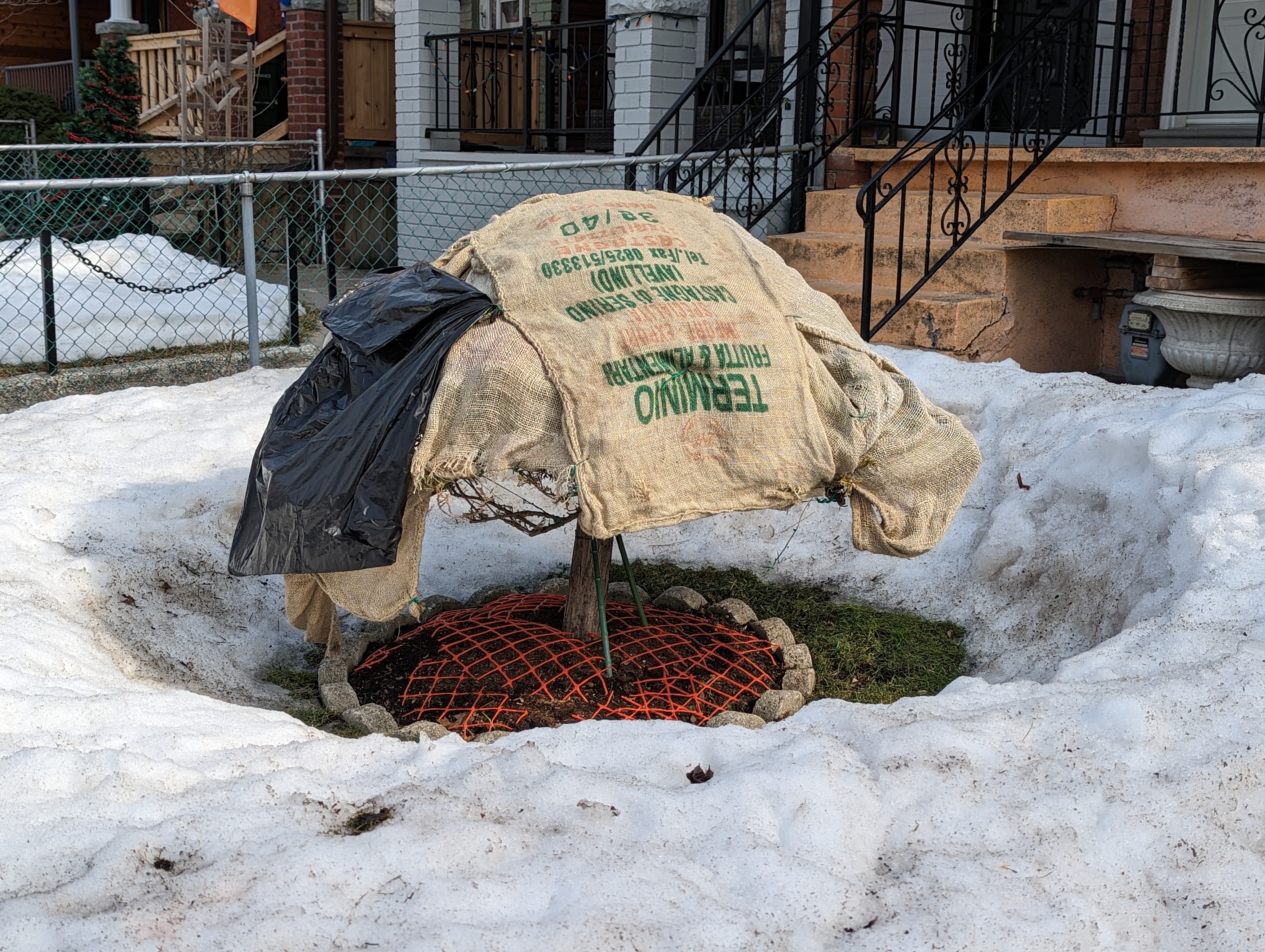 12_catherine carmichael