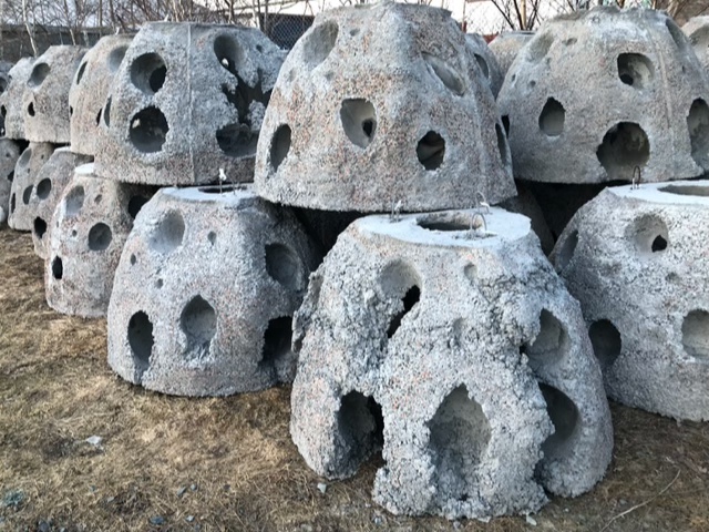 22_SAD_Barbara Lounder_pods