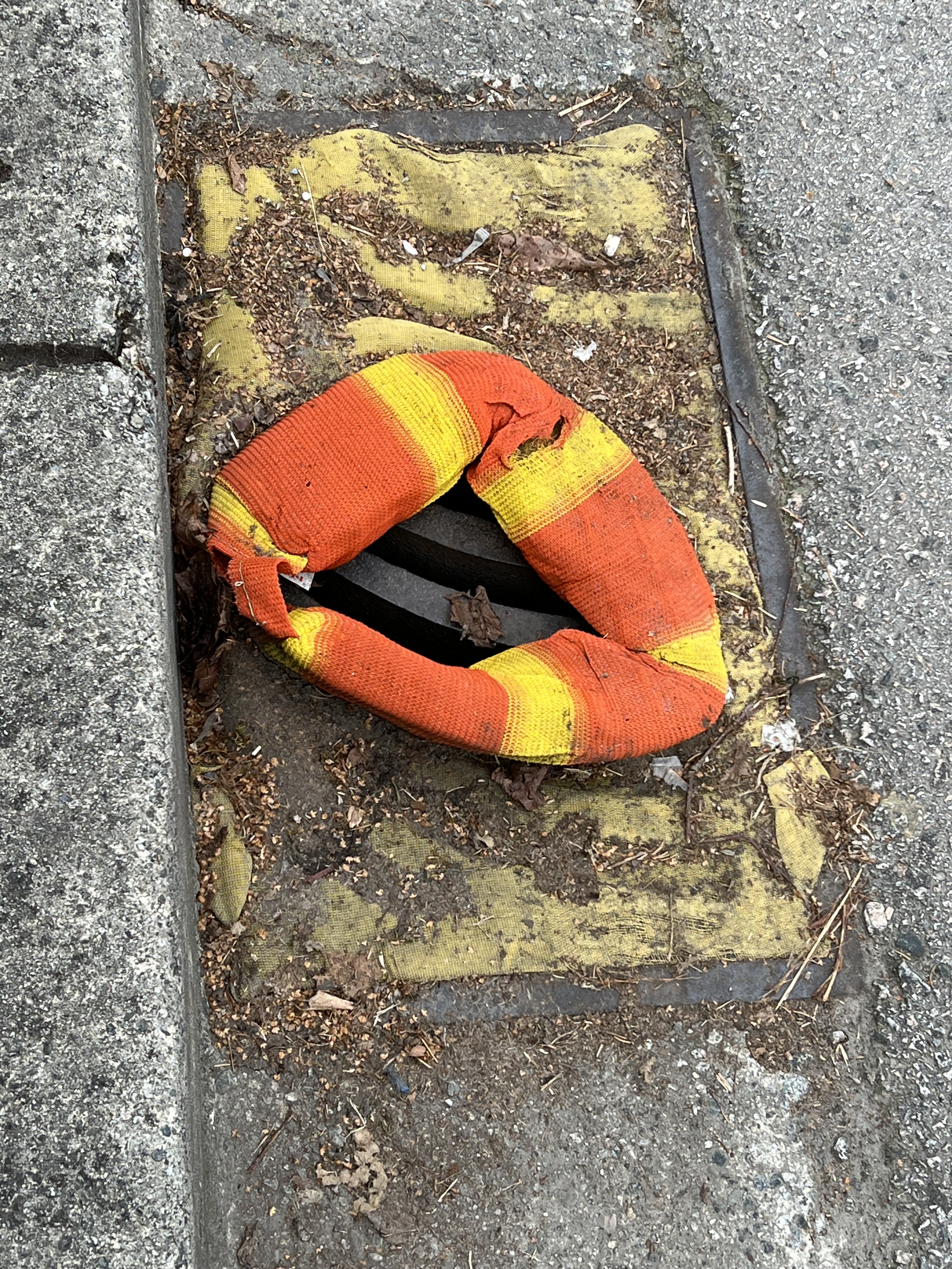 21_Laura_Lee_coles_IMG_2724