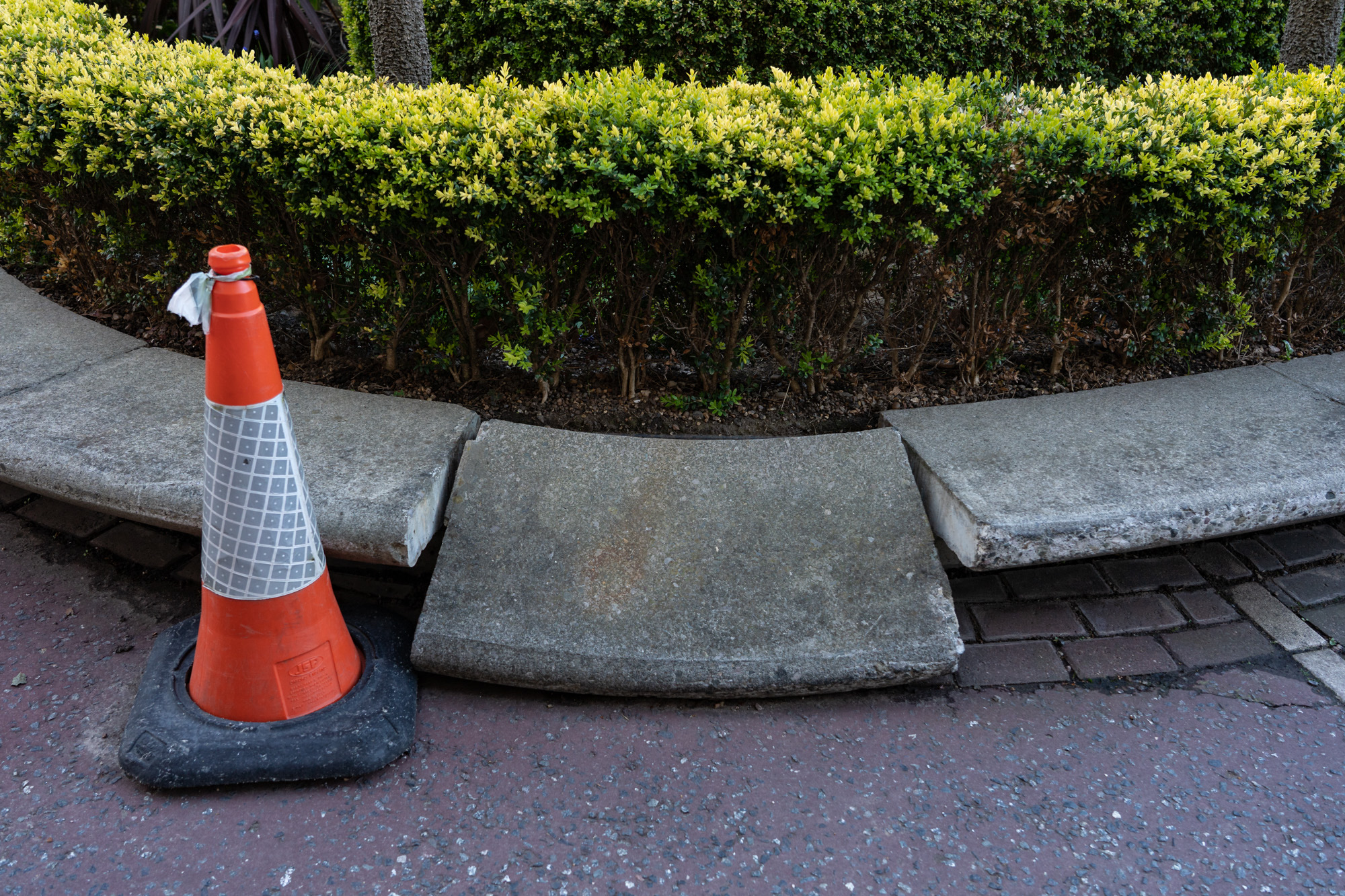 31_Geoffrey Smither_Cone and hedge-5782