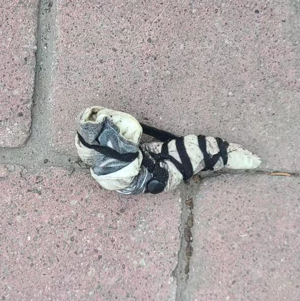 14_Francis_Forgette_928