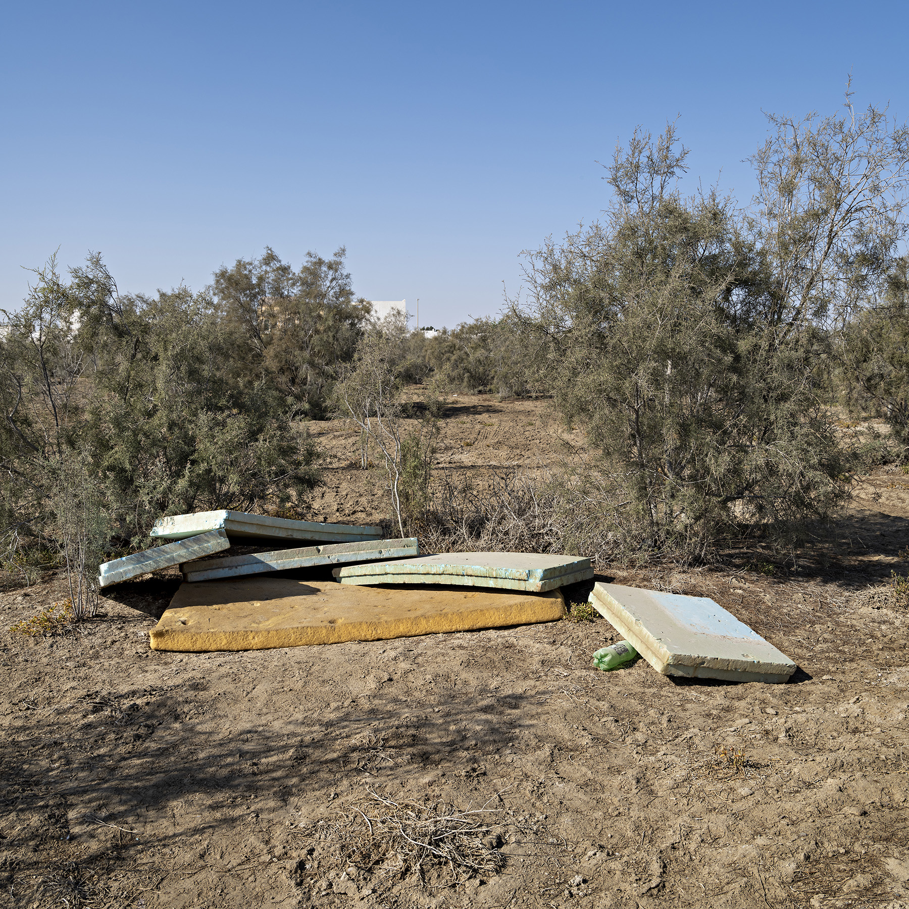 11_45 WalterWillems-Al_Shamkhah